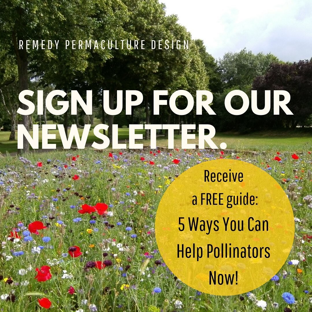 Want to join our community? 

We&rsquo;ll periodically send you newsletters packed with rich and inspiring content that leaves you uplifted and connected! Rad stuff like education, advocacy, and the celebration of all things native plants and pollina