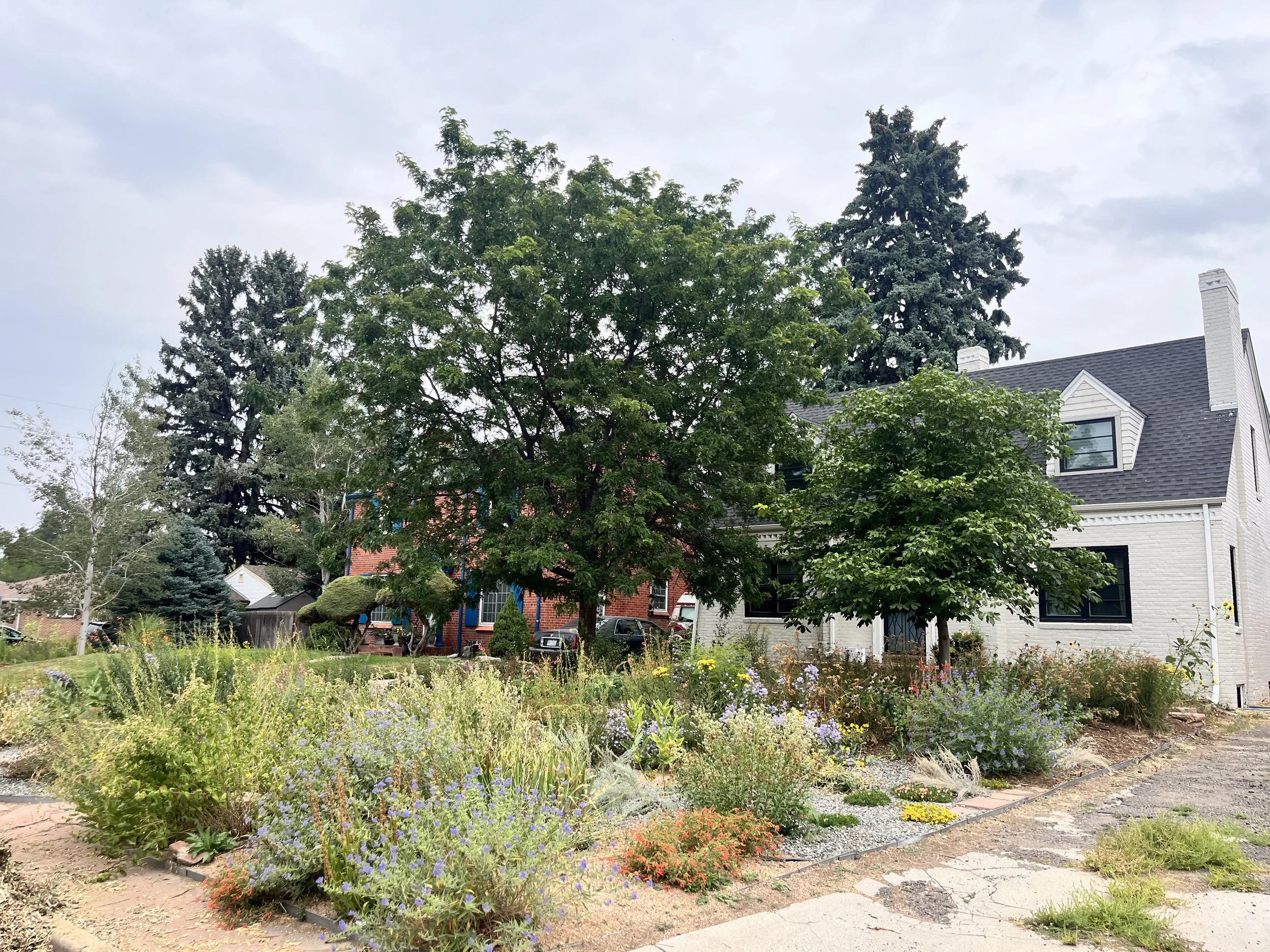 POLLINATION STATION + GUILD.