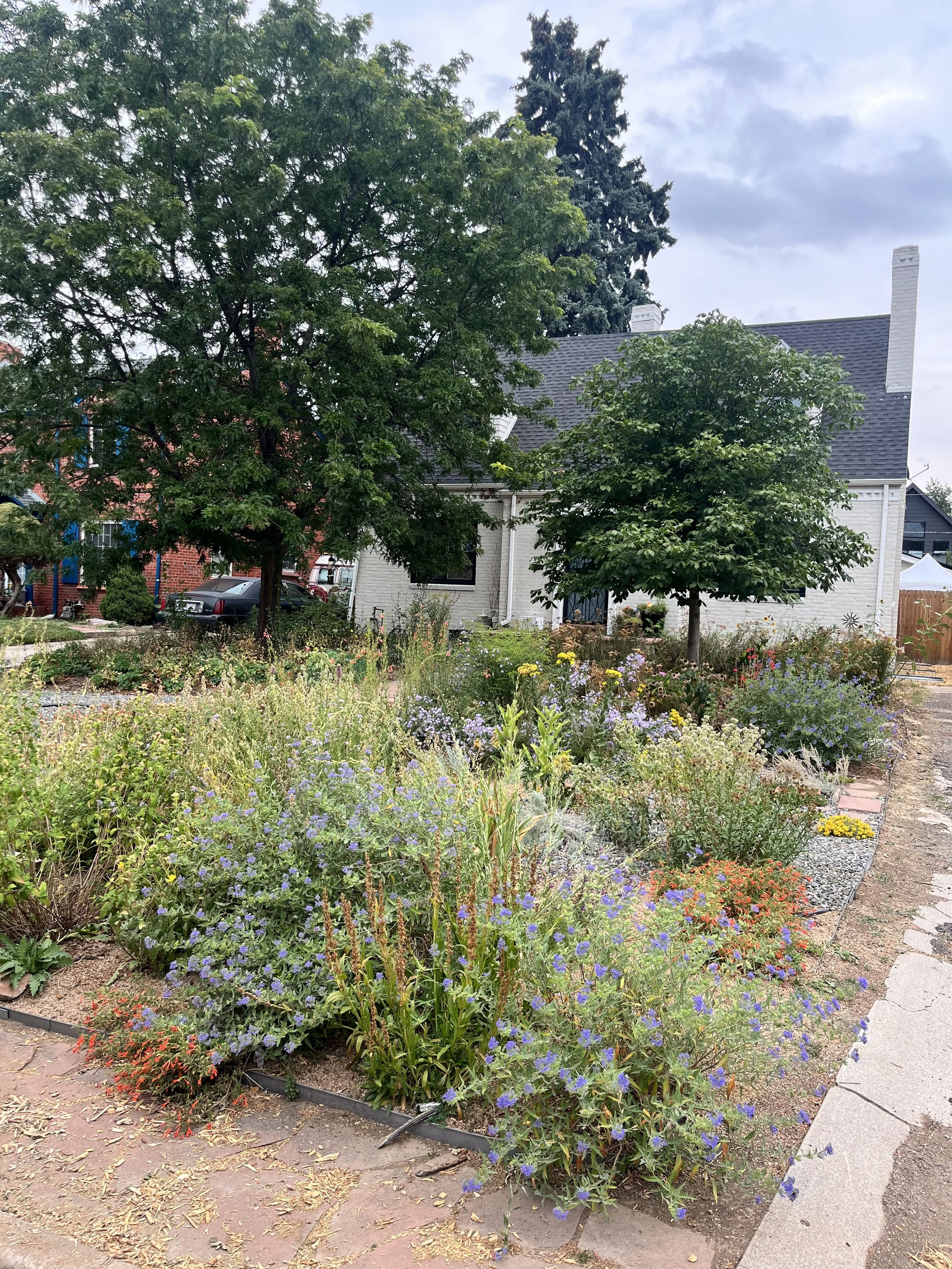 POLLINATION STATION.