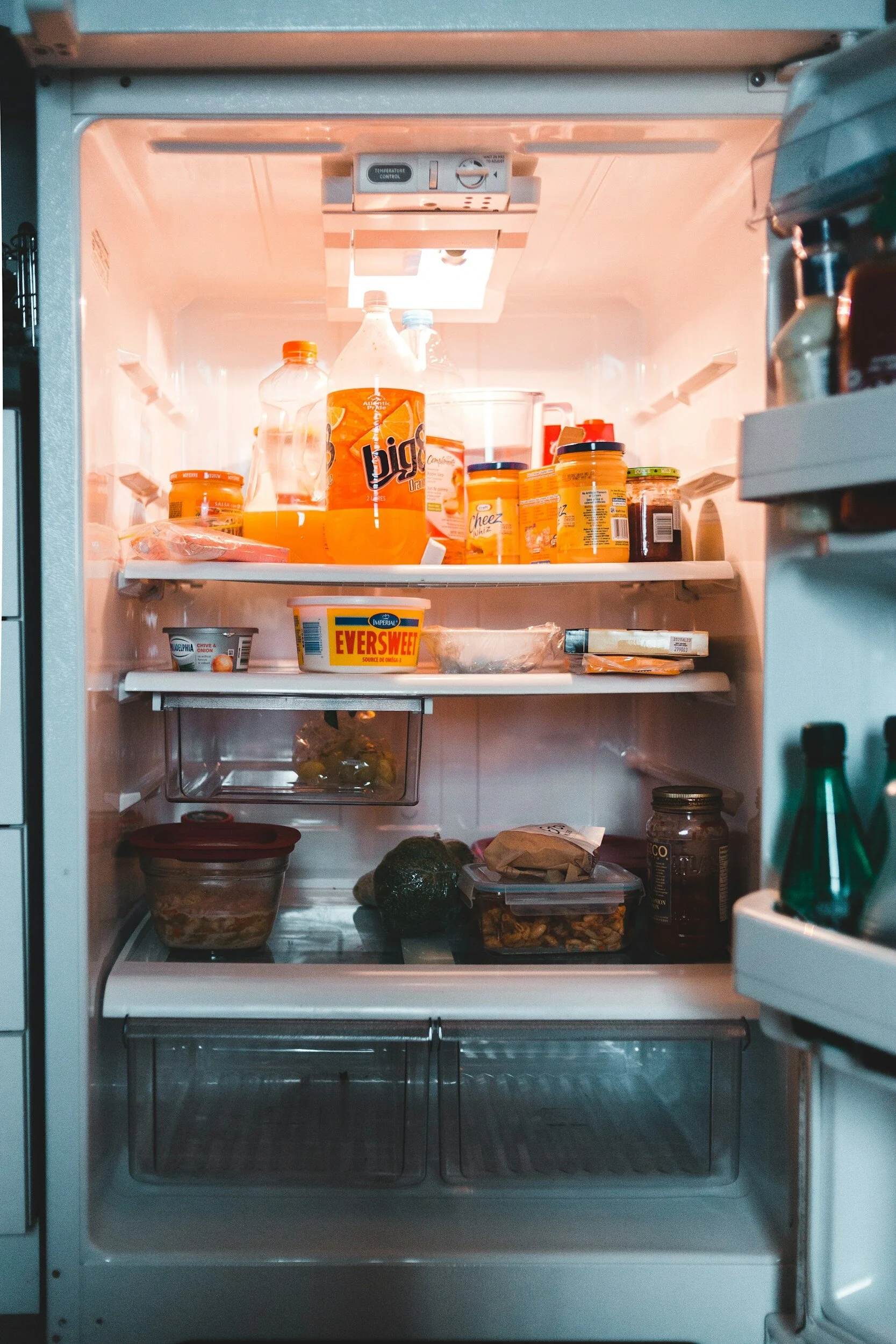 Refrigerator perishables