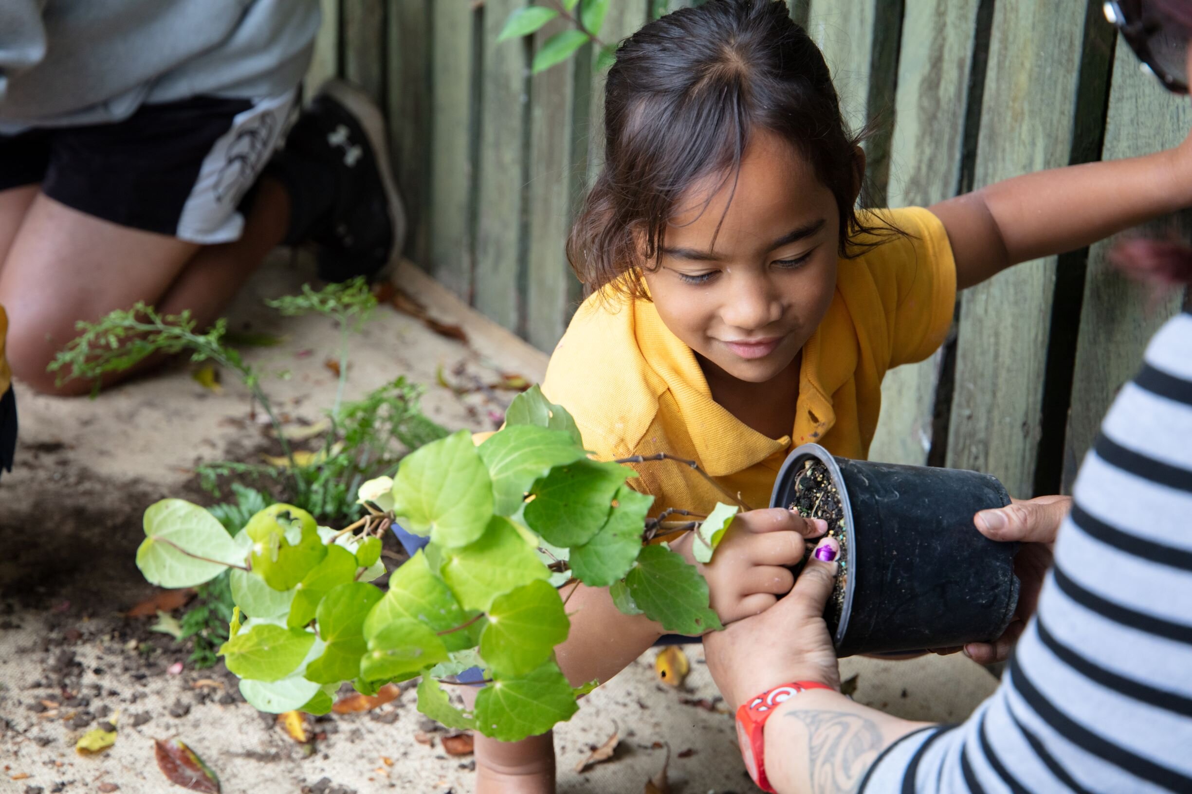 TePunaTaiao-Allandale-Planting-8 Nov-HighRes-3782.jpg