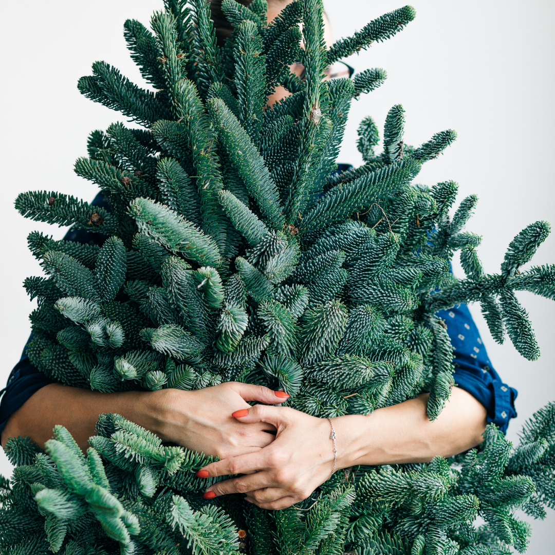 tree hugging.png
