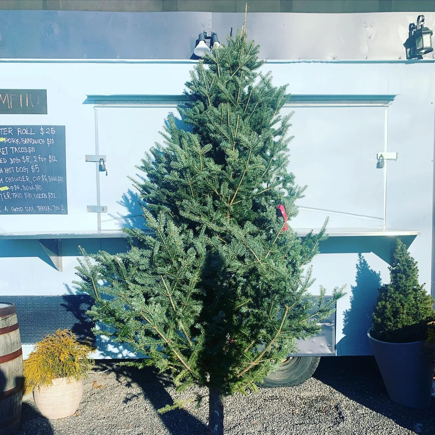 There are still some trees and wreaths left. We are in and out of the property today and tomorrow, but there is a Venmo account posted that you can scan or you can dm us, but please feel free to come by and help yourself. 

On that note, if you know 