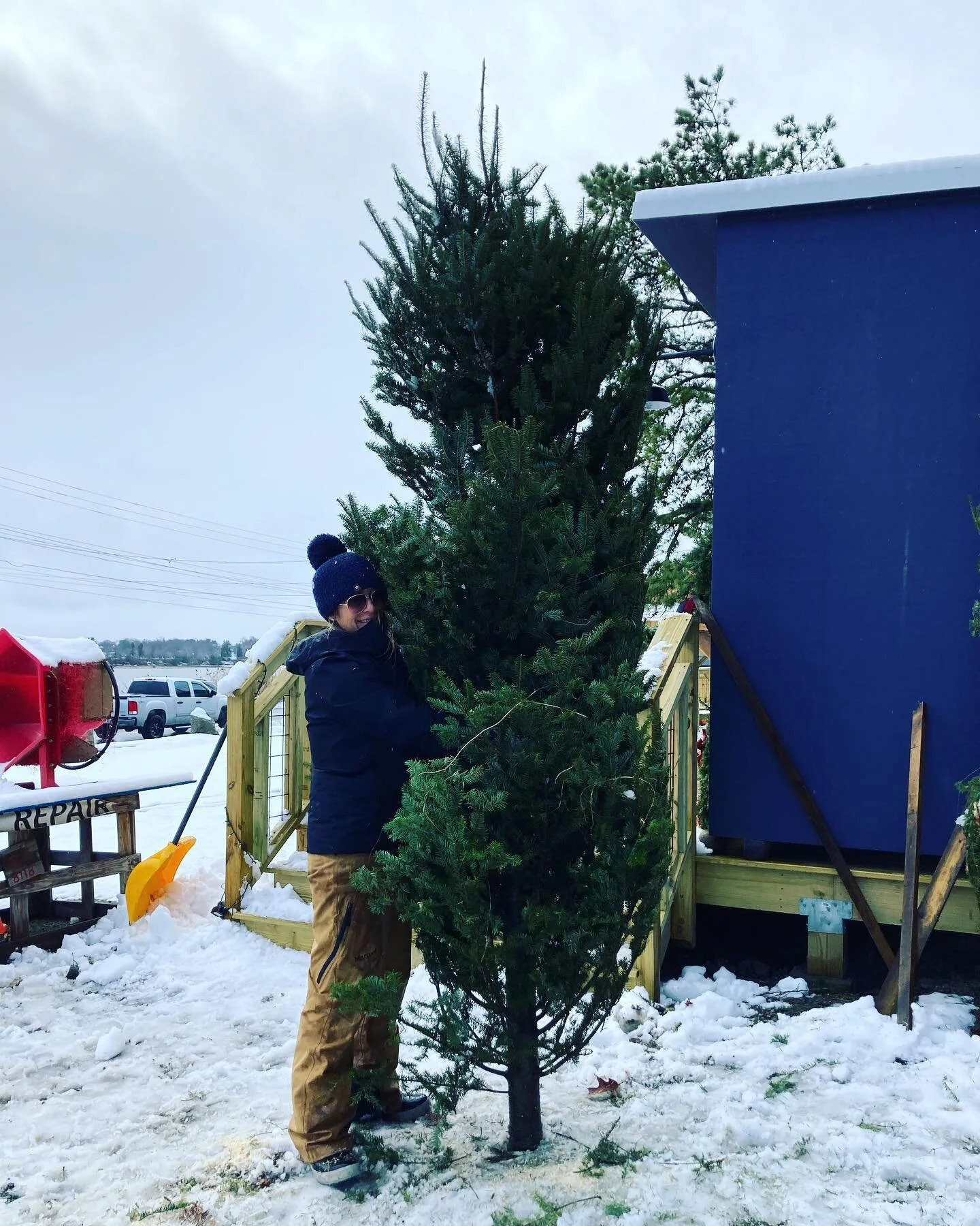 Get your red hot Xmas trees 🎄🔥🎄