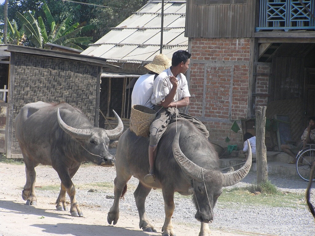 Myanmar.082.jpeg
