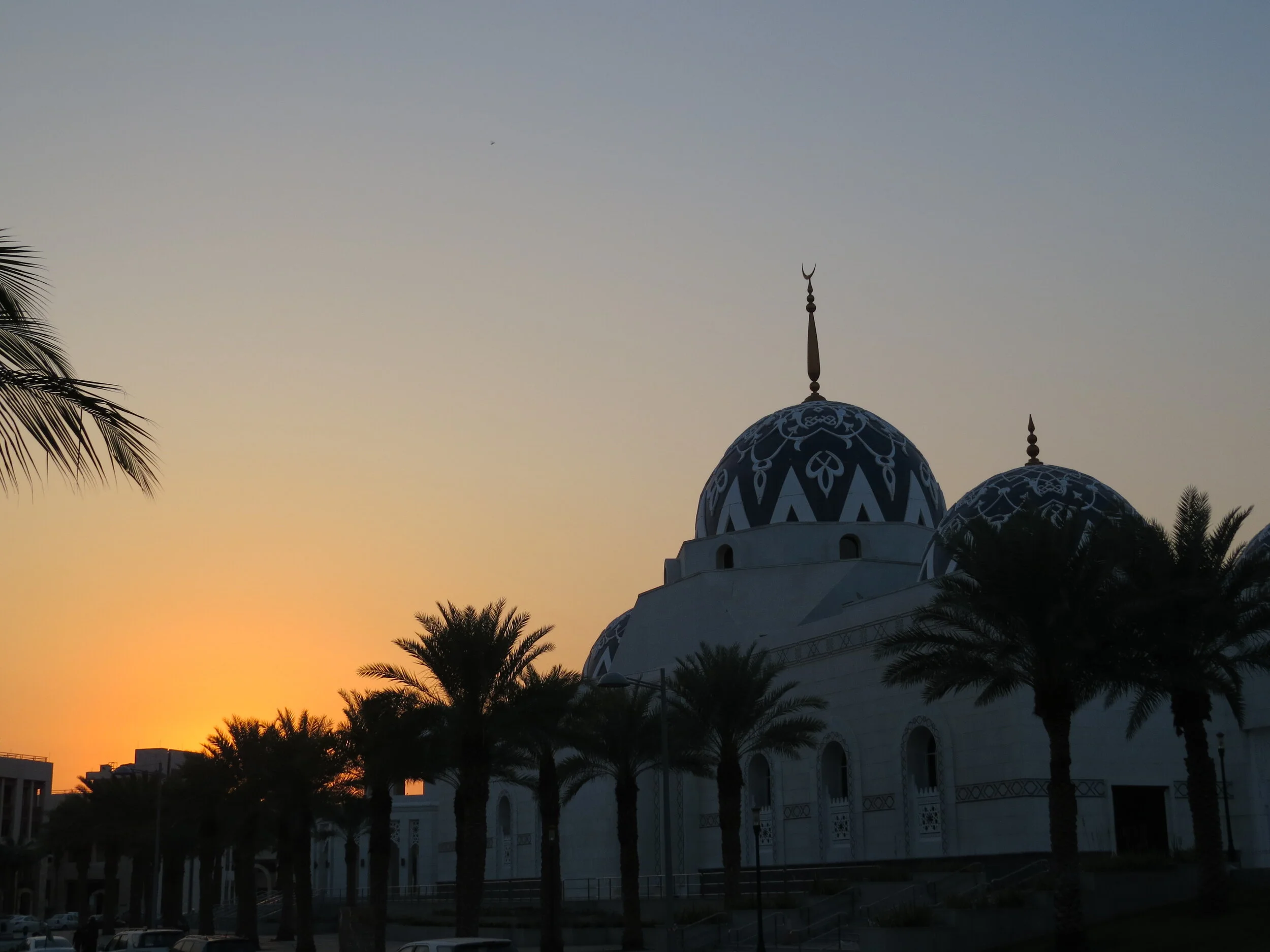 Arabian Nights... and Days!