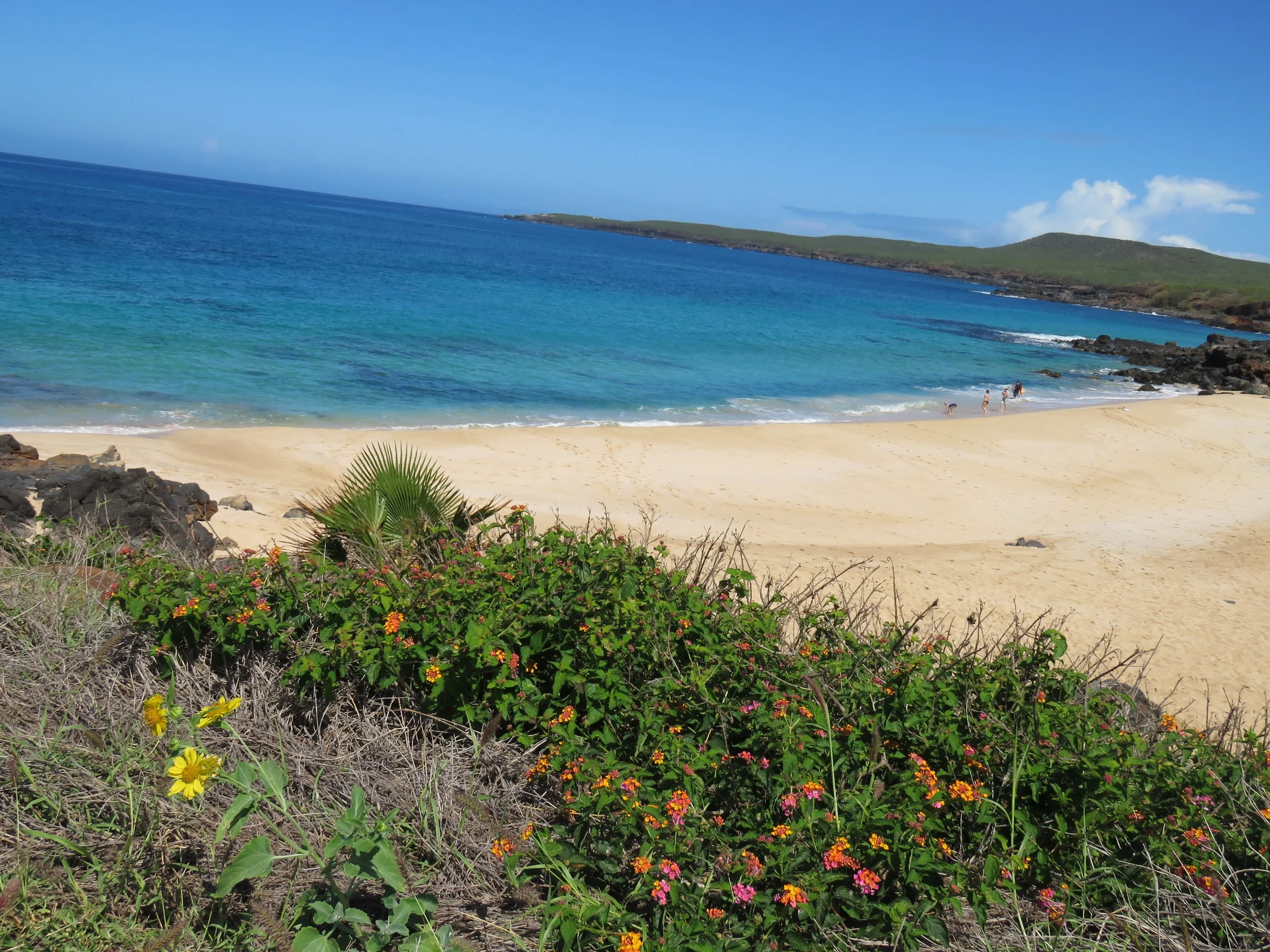 MOLOKAI: Hawaiian By Nature