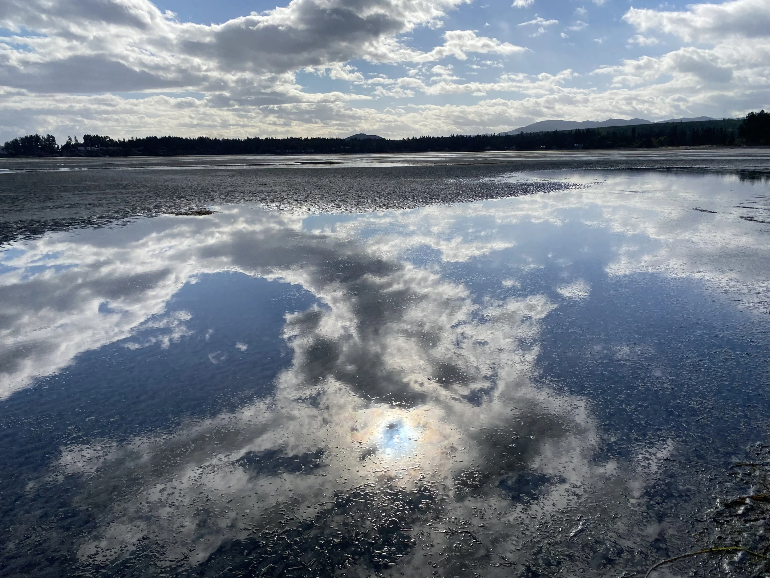 Books, Potholes and a Galloping Goose