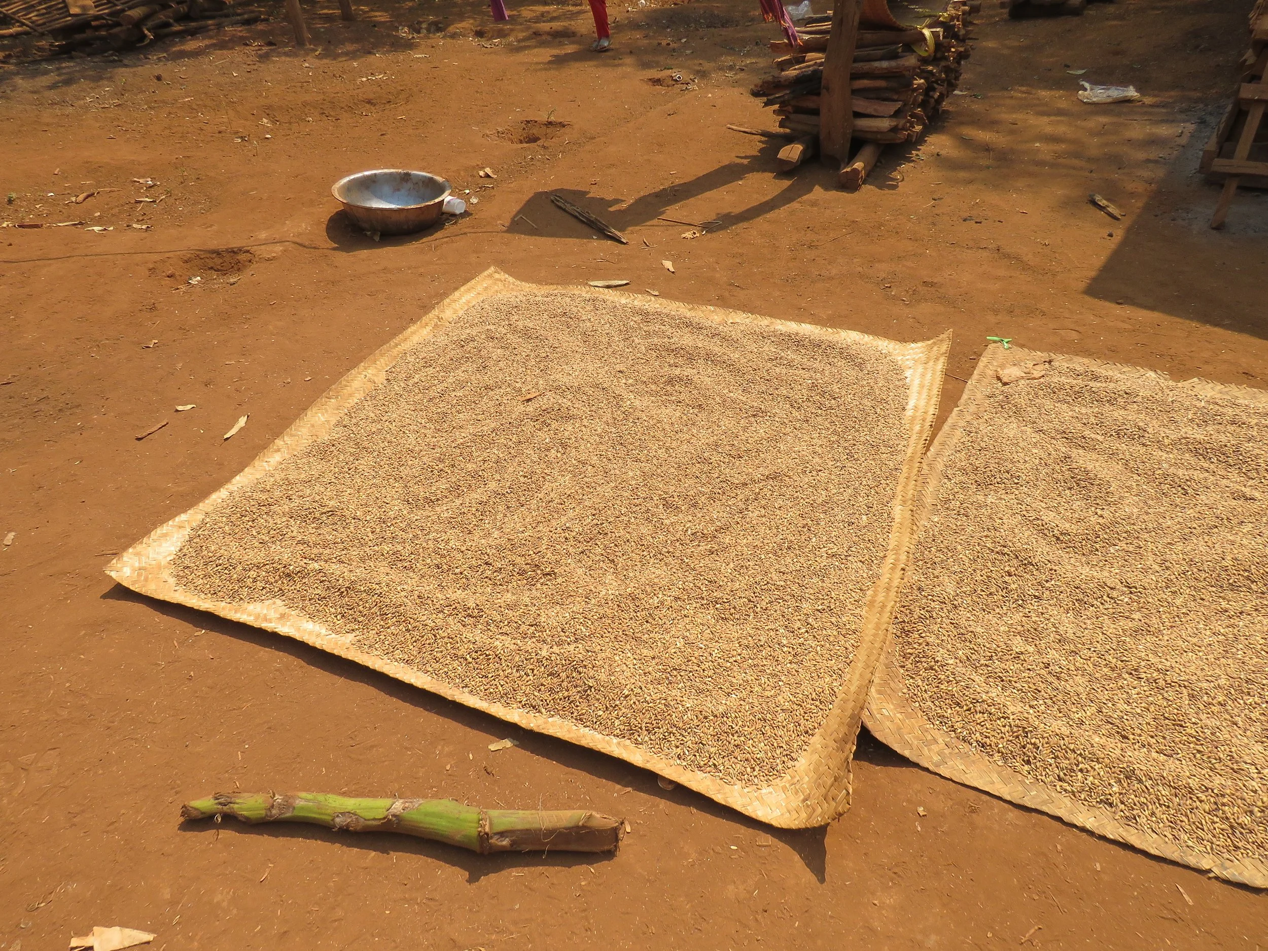 A Homestay in Cambodia