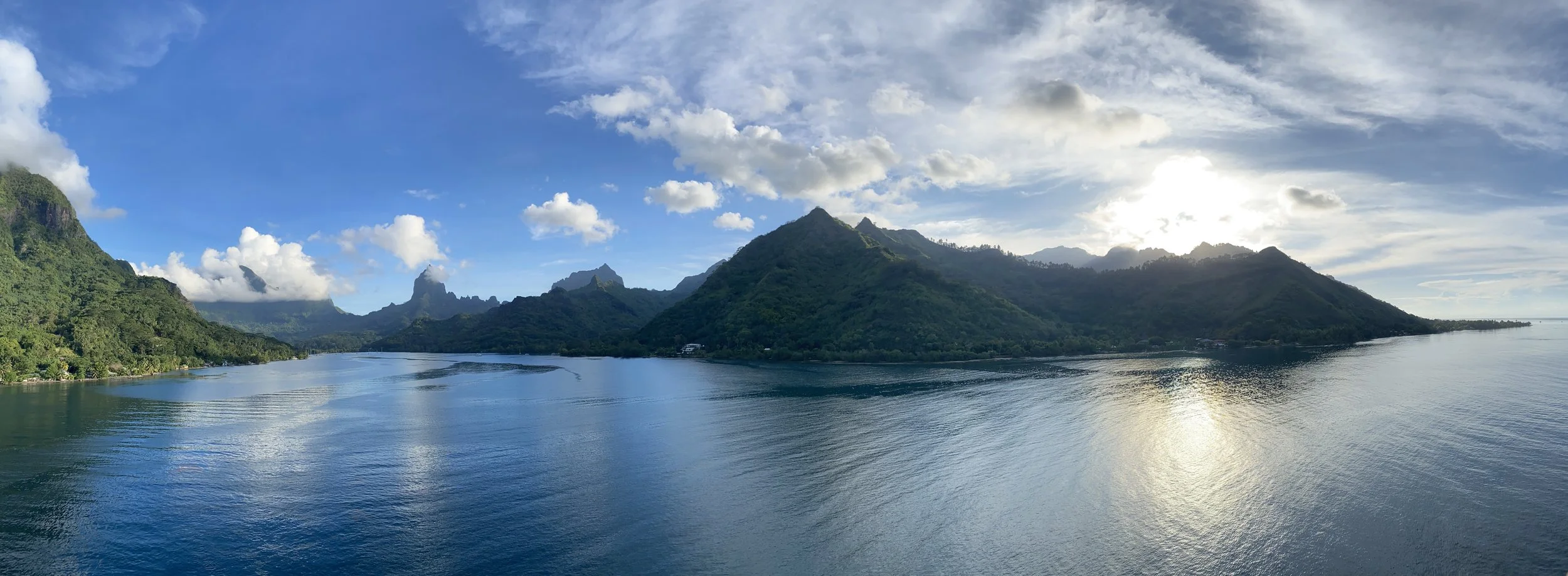 Turtles in Tahiti...
