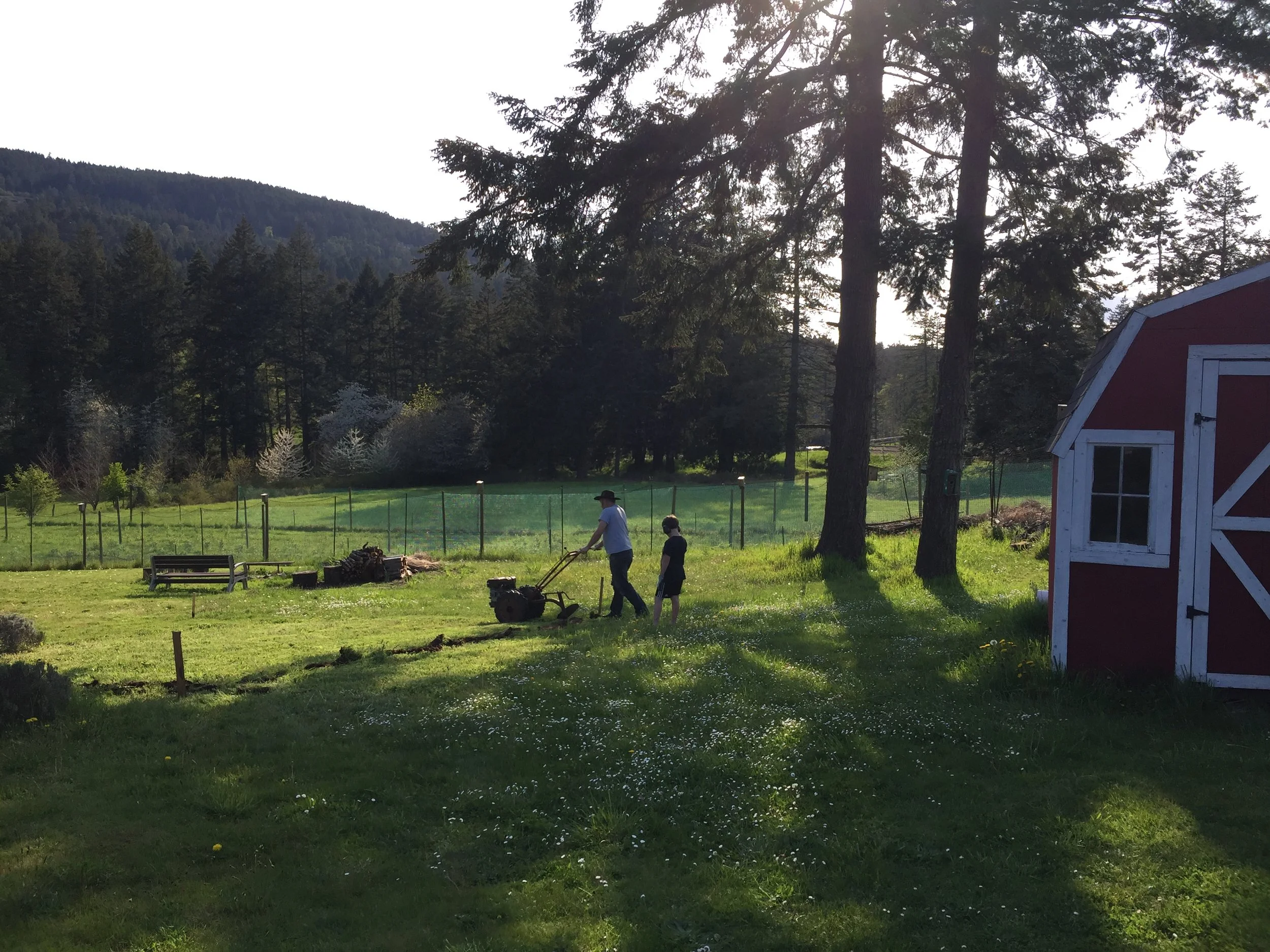 Earth Day: Nurturing our Planet