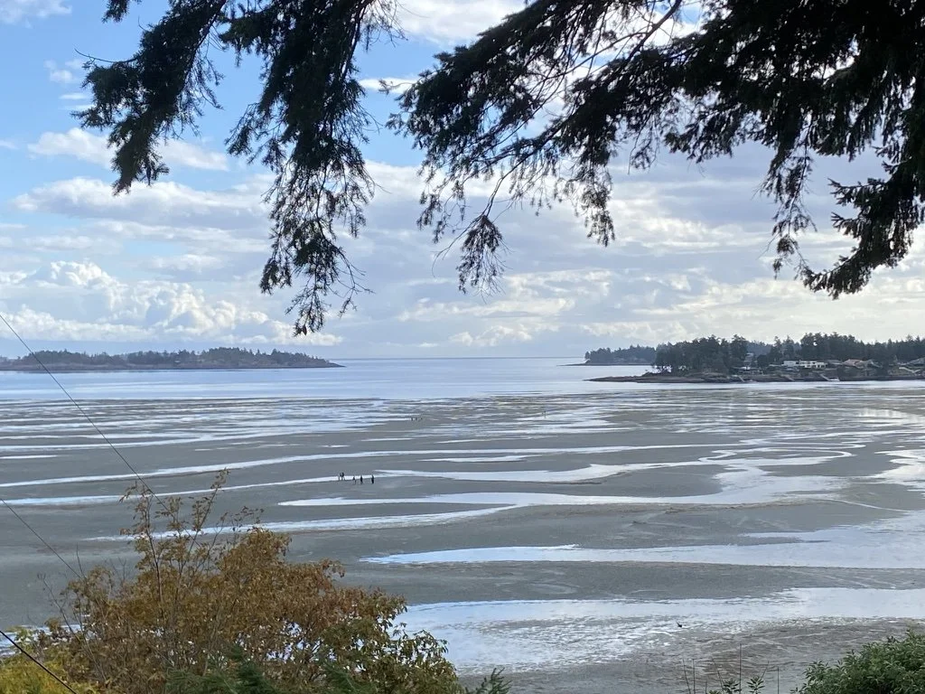 Geocaching - At Home or Around the World