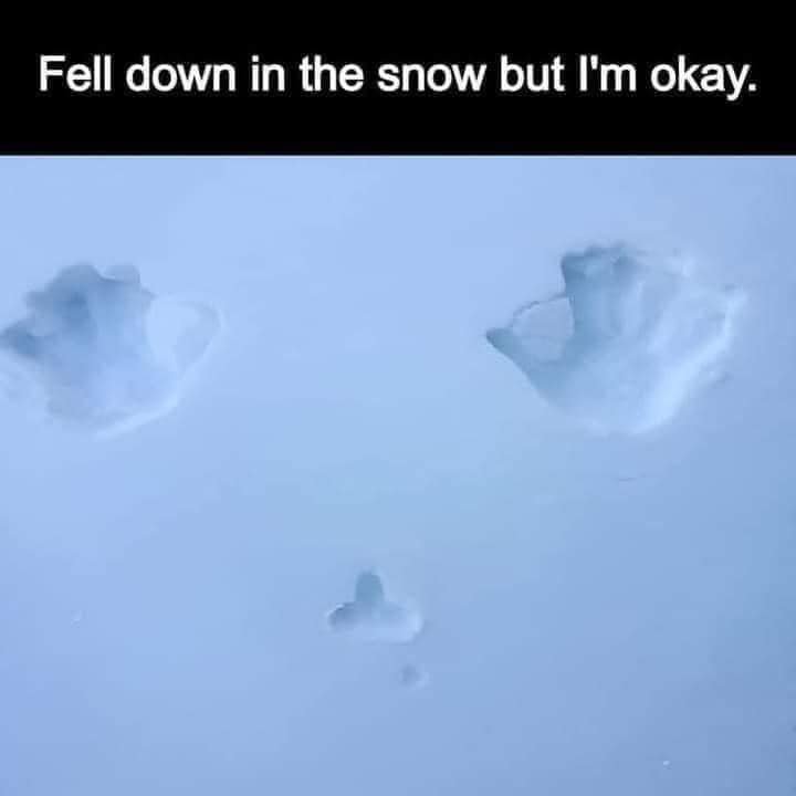 Have to be careful walking in this snow. :(