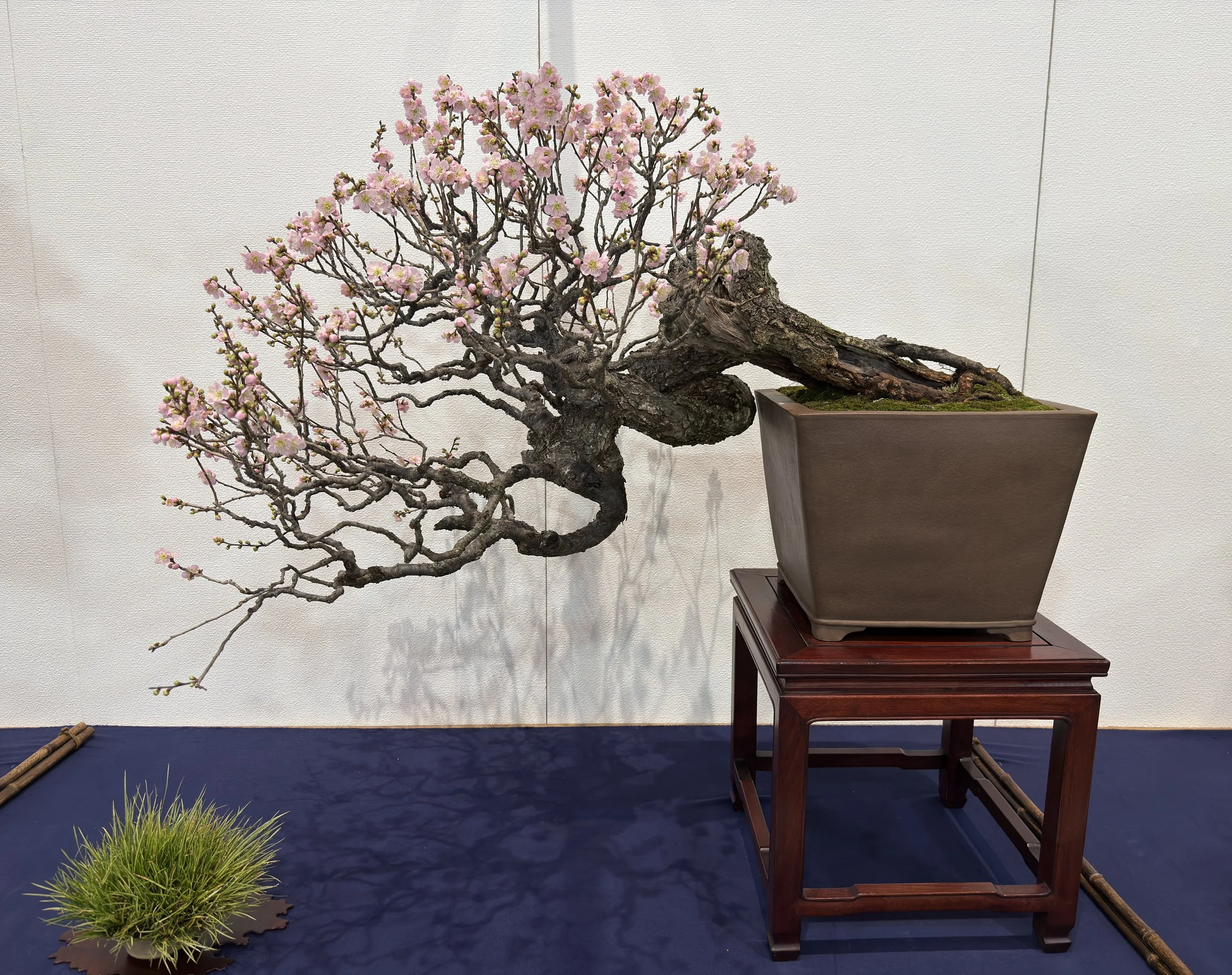 President’s Message 