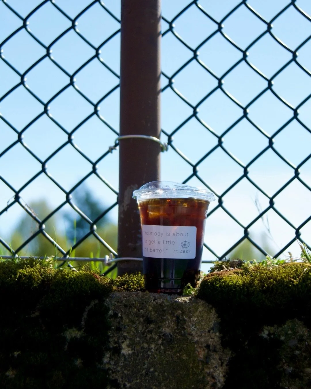 Cold brew is back at our cafes! 

Made with our fan-favourite Bourbon blend ~ low acidity, big body, with notes of buttered toast &amp; whiskey. 
.
.
.
#milanoroasters #milanocoffee #artisancoffee #coldbrew