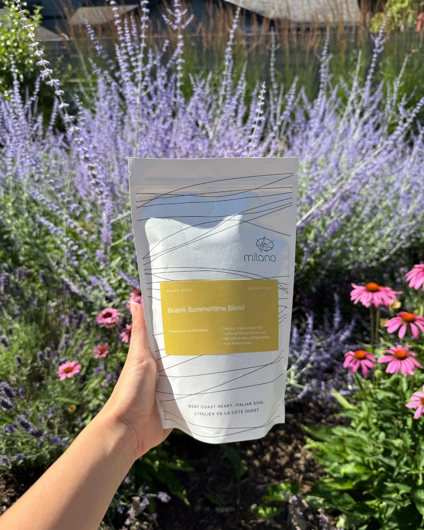 Summer came early this year! Try our first batch of Brian&rsquo;s Summertime Blend. Incredibly juicy and refreshing.
.
.
.
#milanoroasters #milanocoffee #artisancoffee #summertimeblend