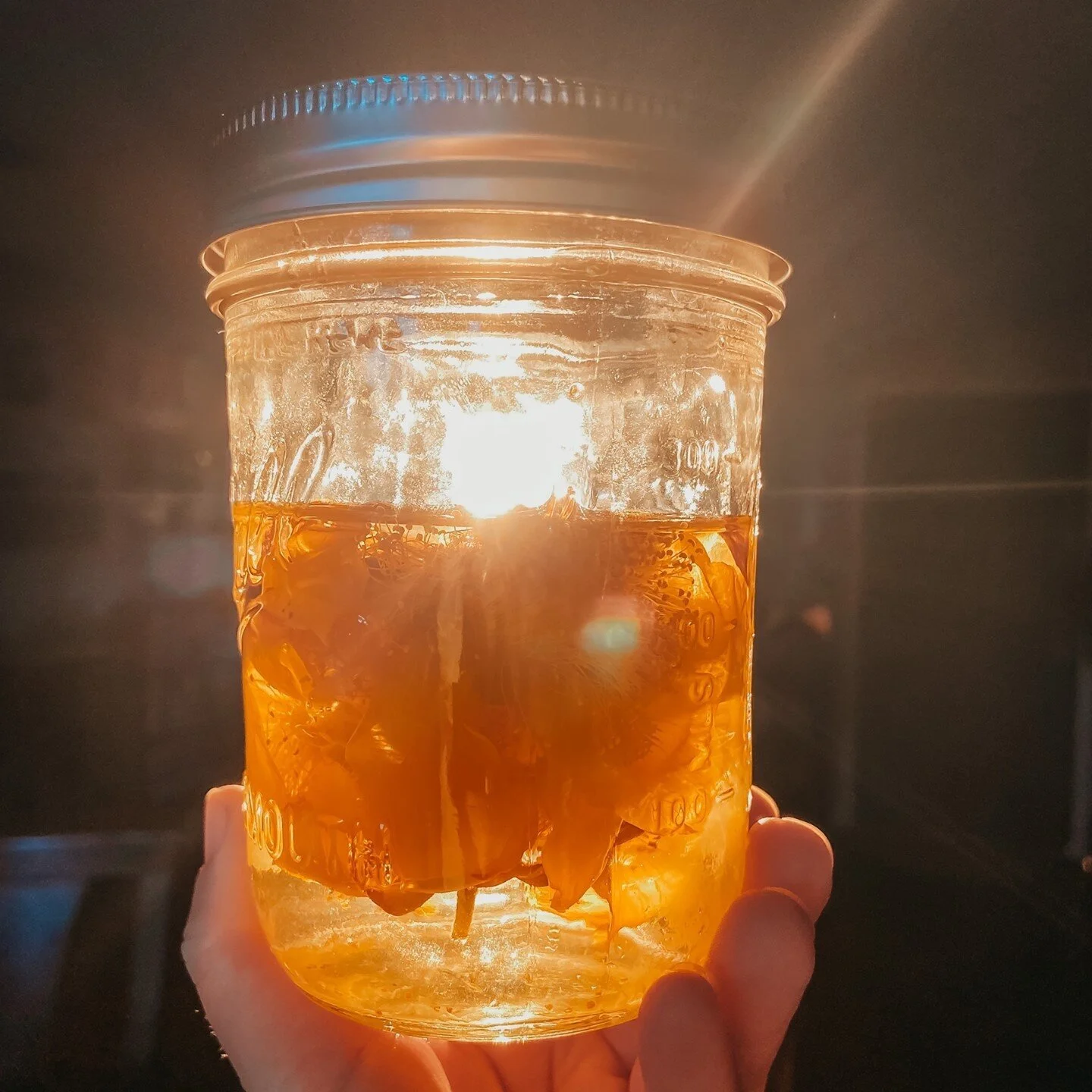 Bottling up some garden sunshine for gloomy winter days 🌞 

#herbalism #gardening #sunshine #sun