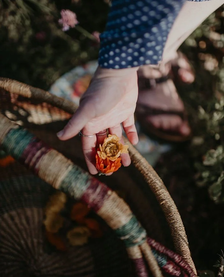 Growing a garden has connected me to the earth and to my soul 🌼✨ What makes you feel alive?⁠
⁠
⁠
#garden #gardening #greenwitch #witchesofinstagram #connection #earth #earthlove #alive #grow #growyourfood #growwhatyoueat #growyourownfood #foodnotlaw
