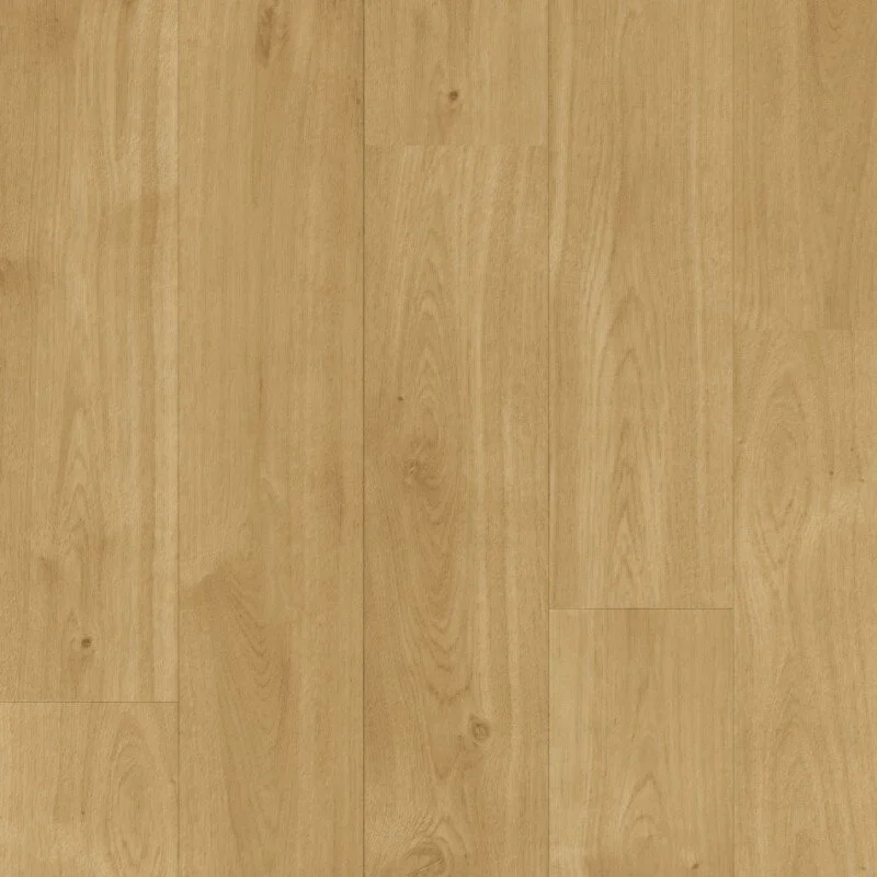 2m 5337004