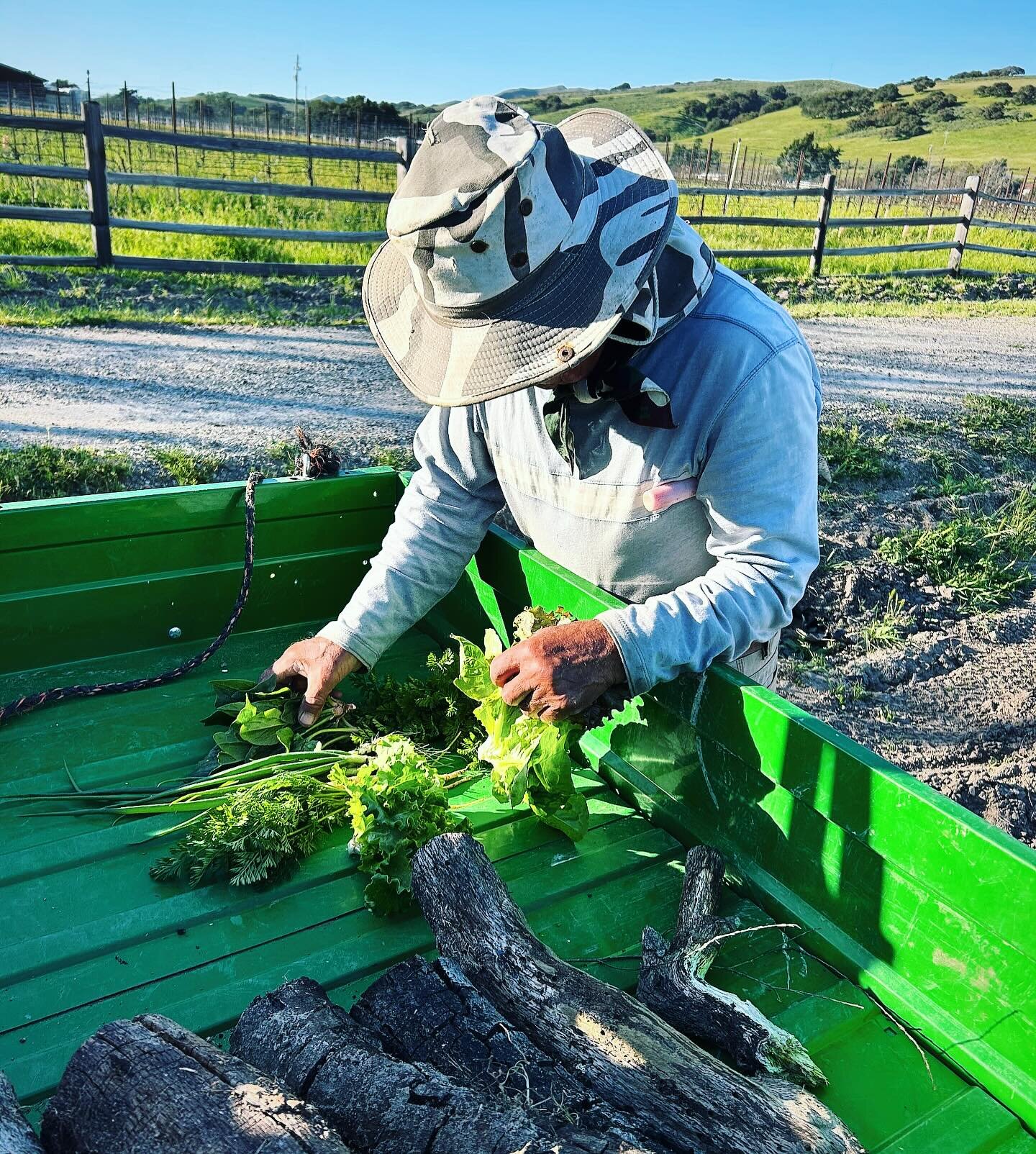 Sampling our fresh produce with our farmer to guarantee that only the finest quality reaches our restaurants, all the way from our vineyard in Santa Barbara to Manhattan Beach! @slayestateandvineyard @slayitaliankitchen @slayhermosabeach @fetebyslay 