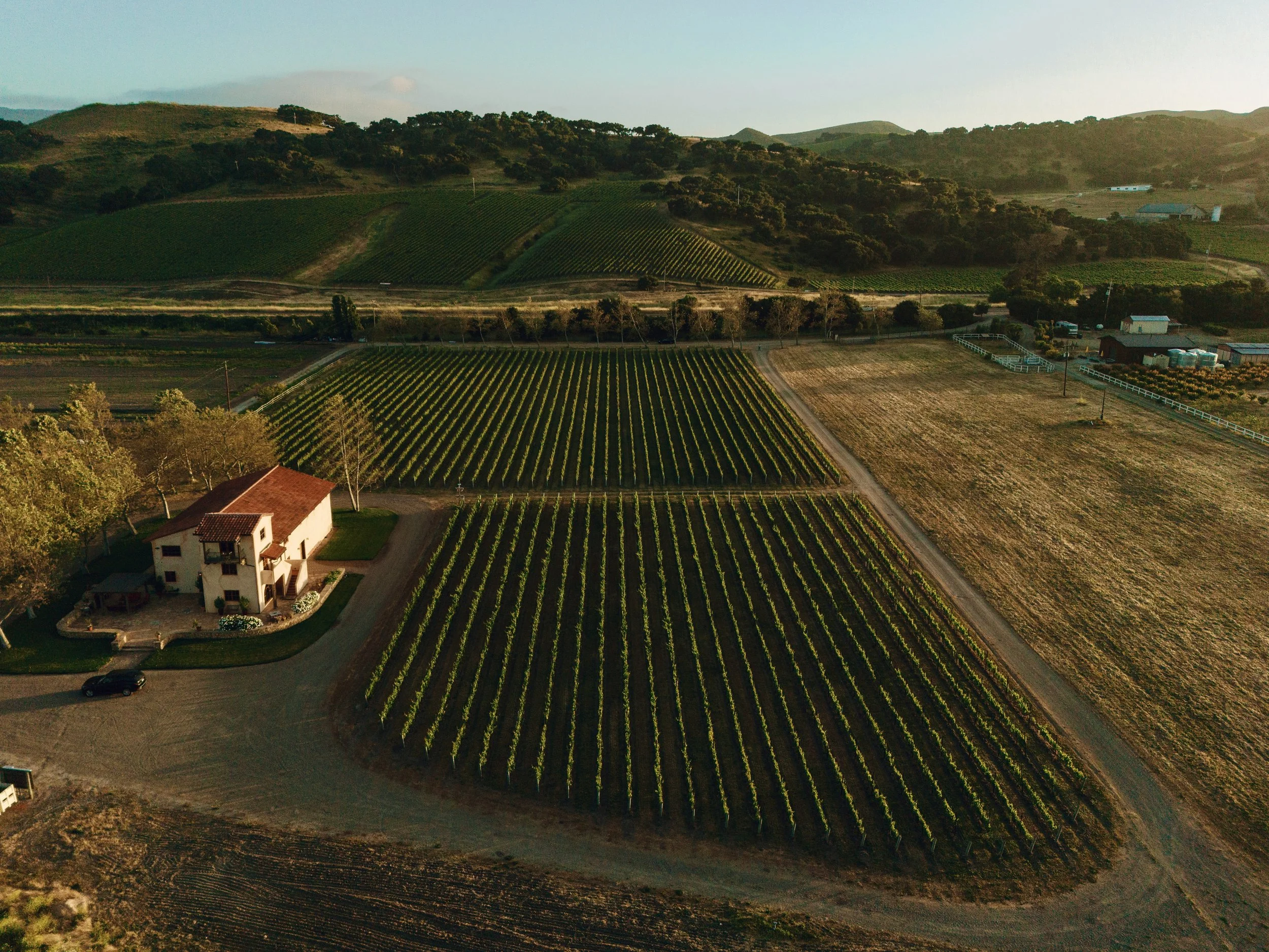 Slay.Vineyard.May.2024.DJI_20240523193010_0134_D.Preview.jpg