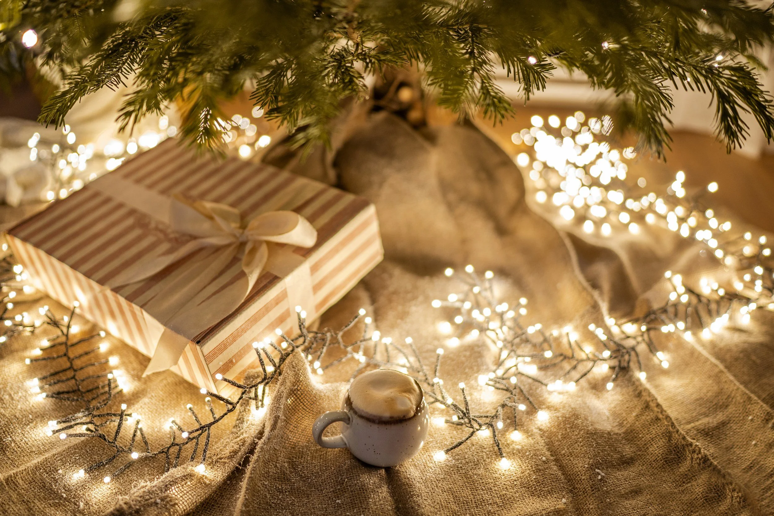 Christmas Holiday