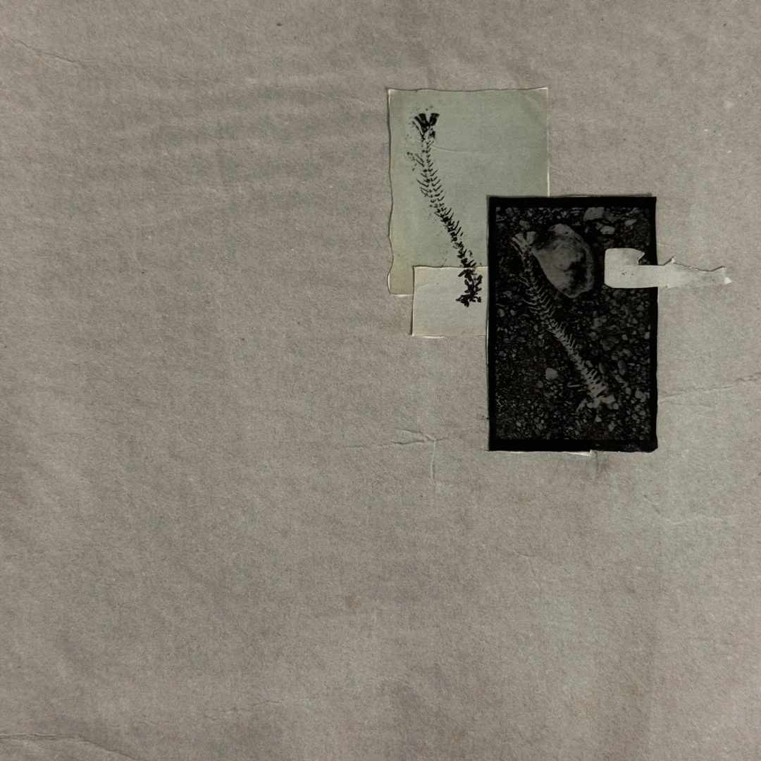 Nadia-Faye-drift-single-artwork_web.jpg