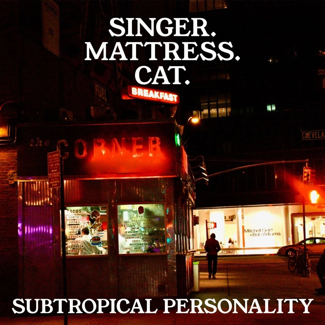 SingerMattressCatAlbumCover_web.jpg