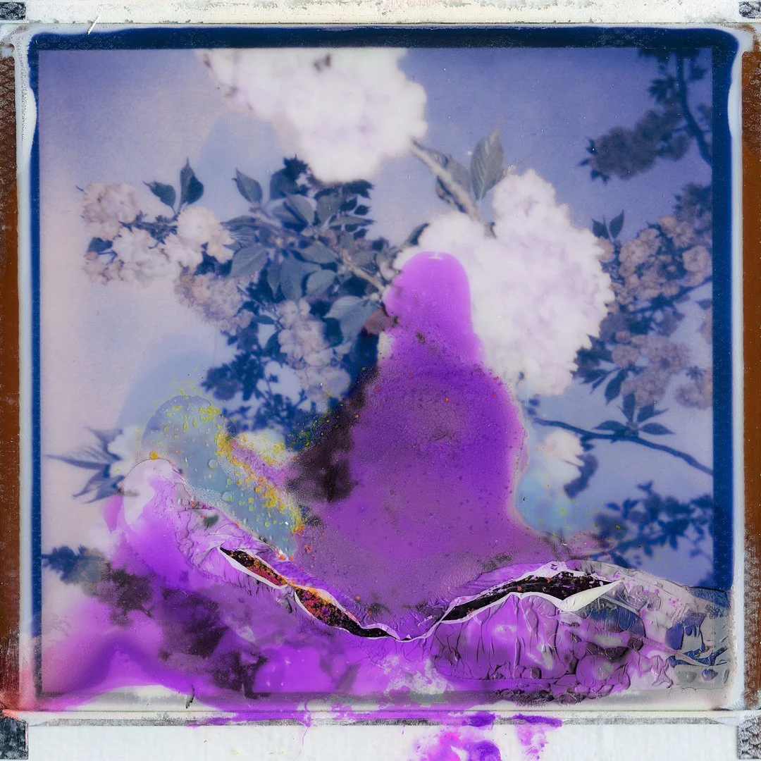 i-give-my-friends-flowers_FEEL-LIKE_Album-Art-by-Paige-Paton_web.jpg