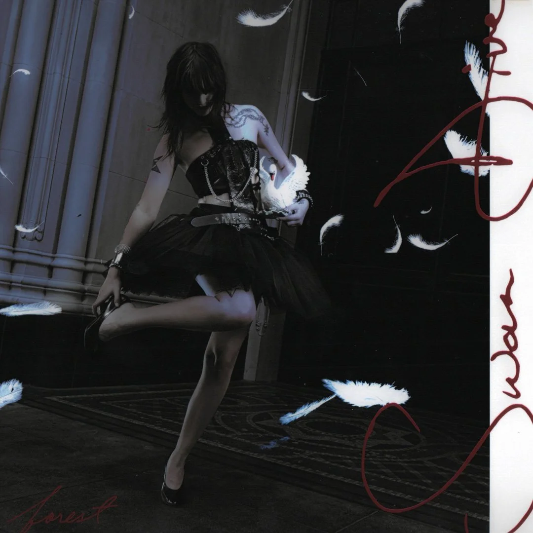Forest---Swan-Dive-Final-Cover_web.jpg