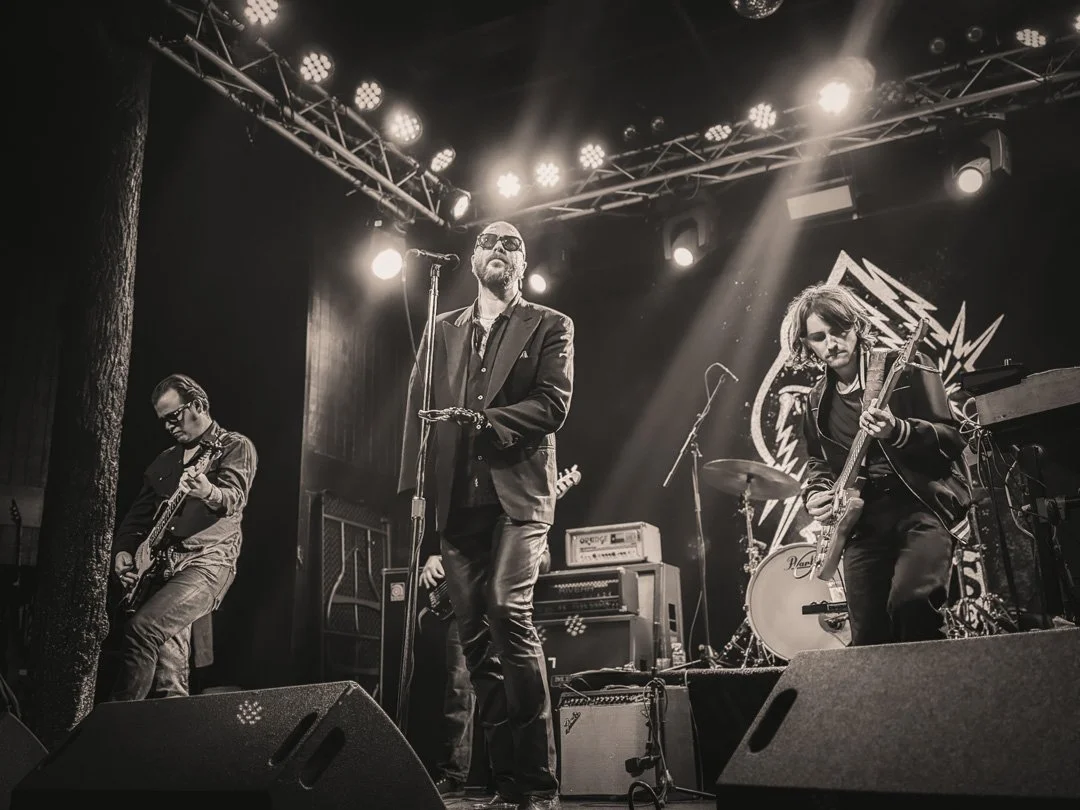 Baby-Snakes_ElectricCoLive_DavisBell_1web.jpg