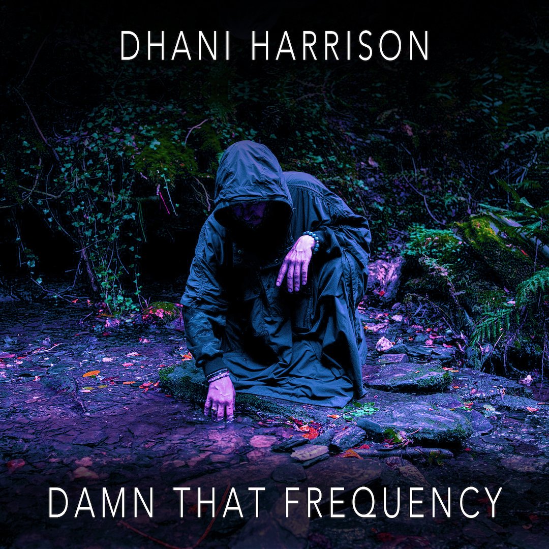 DhaniHarrison_02_DamnThatFrequency.jpg
