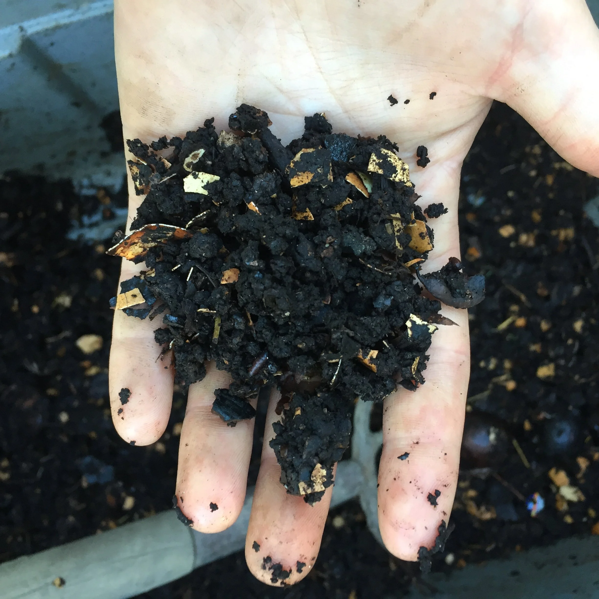 Composting 101