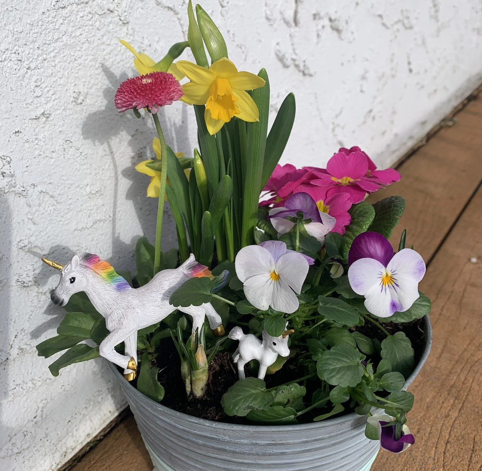 For Kids - Create a Spring Planter