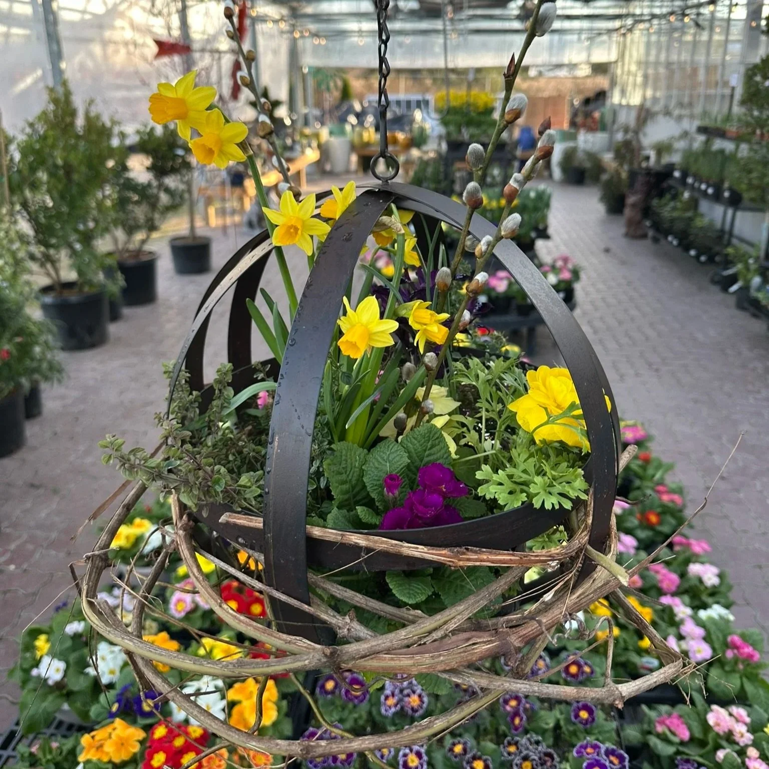 Create a fresh early Spring Globe