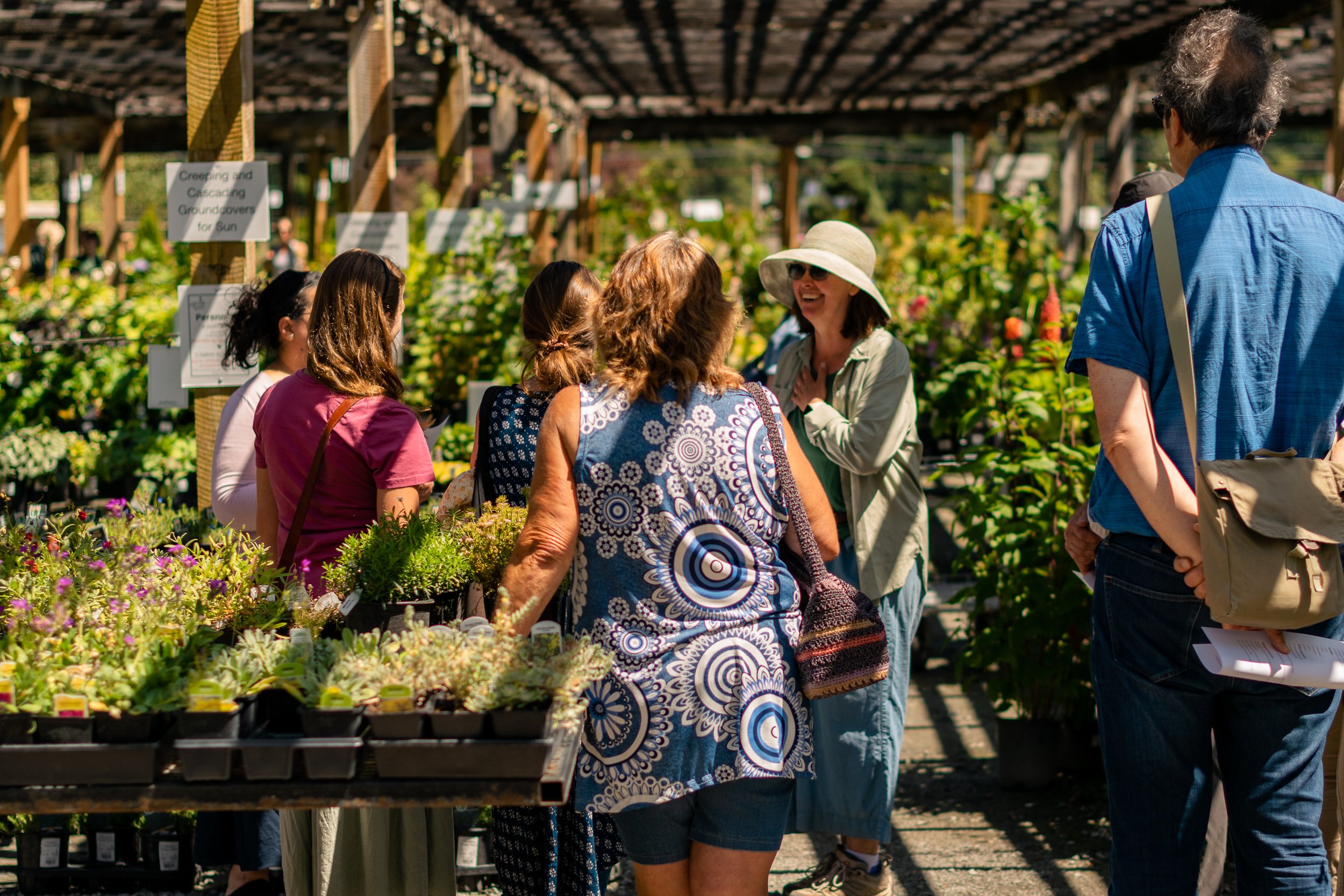Backyard Flower Shop - Free Walk and Talk