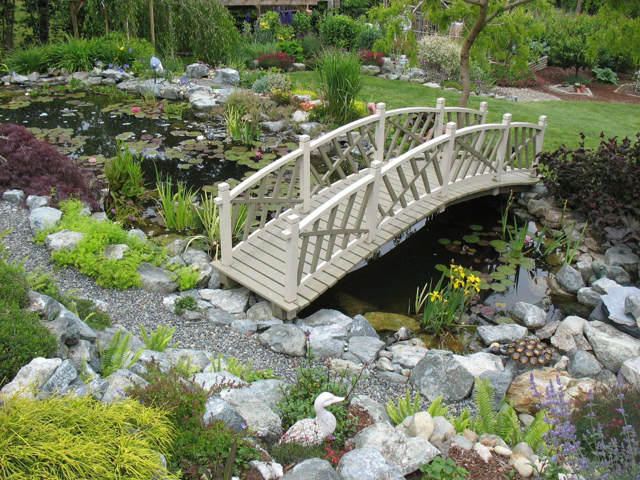 Water gardening for beginners - Free Walk and Talk