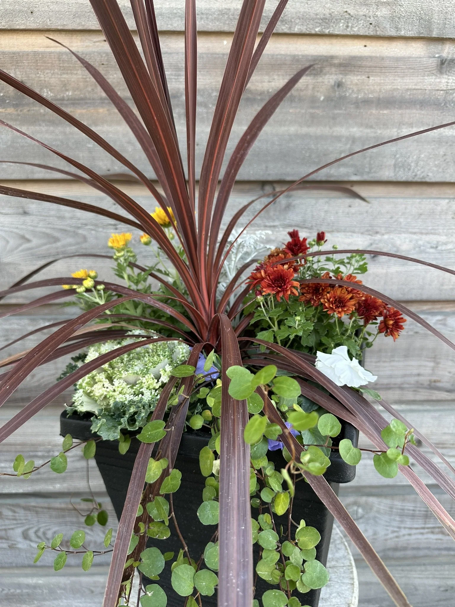 Create a fall planter for front door decor