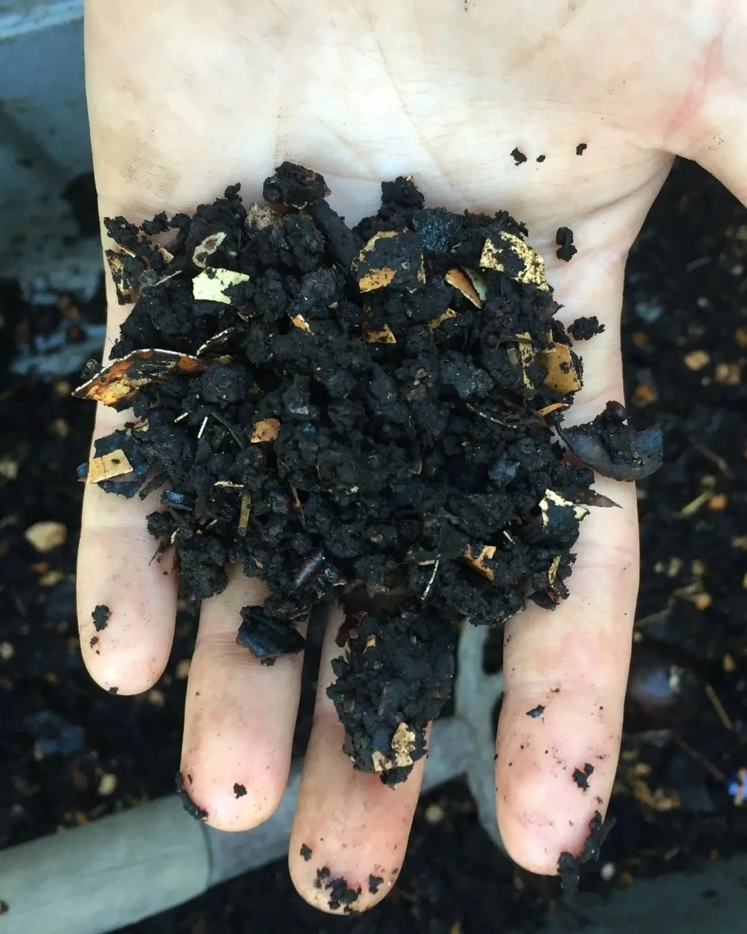 Composting 101