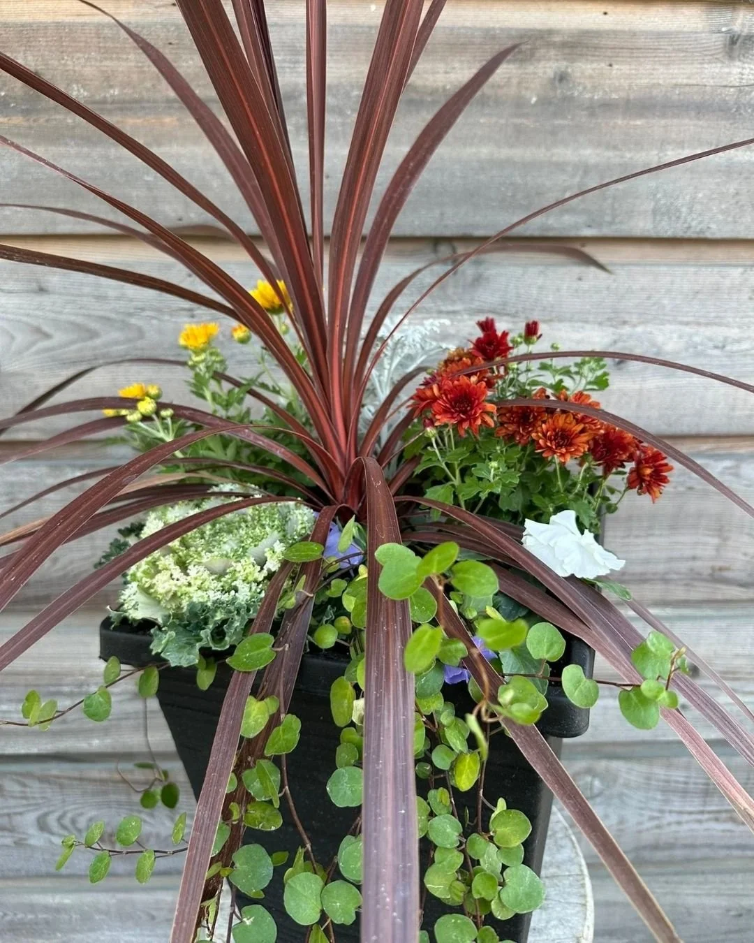Create a Fall Planter for Front Door Decor