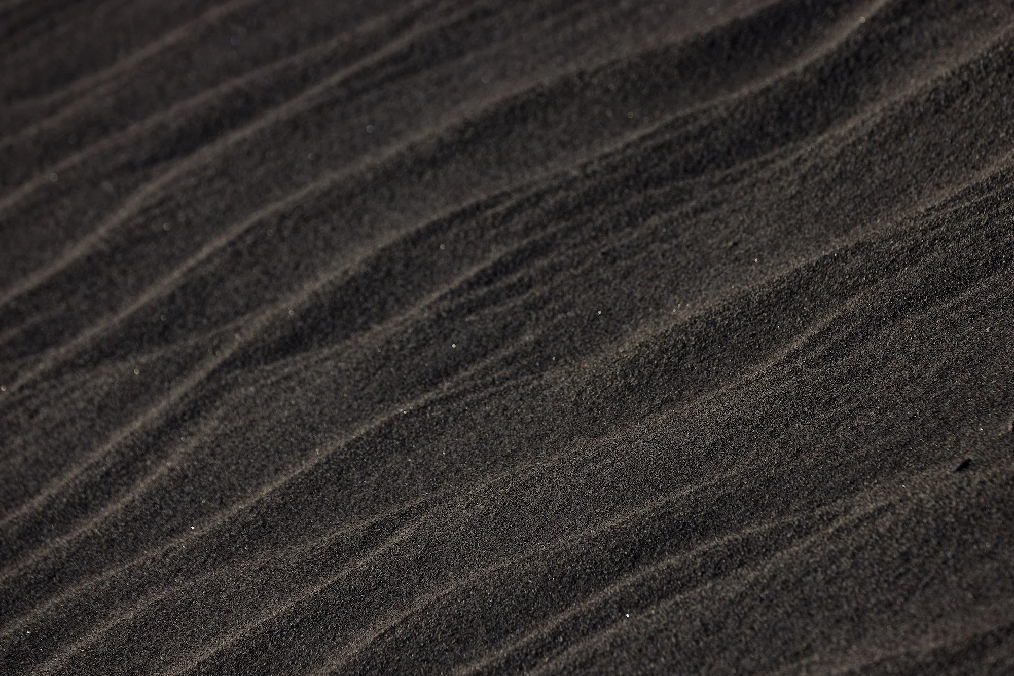 Patterns in the Sand