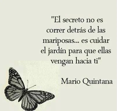 Cuando elijo tomar todo lo que me pasa en la vida para aprender y responder mejor.Todo adquiere sentido...Así que relajémonos un toque y sintonicémonos positivamente!Preparemos el terreno!Agarremos toda la energía que le damos al estrés y a la aguev…