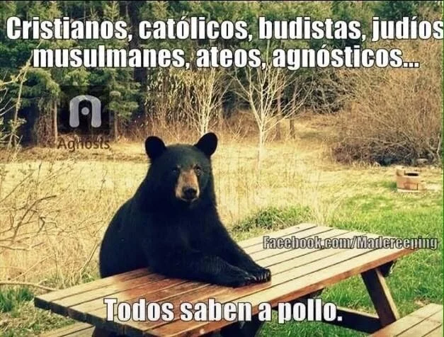 Les guste o no, somos de los mismos!Si pusiéramos más atención en lo que nos une, en vez de lo que nos separa…Nos daríamos cuenta que somos más parecidos de lo que imaginamos!Somos seres humanos y estamos vivos!Y eso ya es un privilegio…No necesitamos descalificar lo diferente, para reafirmar lo propio!Algunos proyectan y atacan afuera, lo que no han resuelto adentro.Y si lo vemos y nos choca, que nos sirva para recordar.Que cultivar la paz interior, es cultivar la paz en el mundo!Que las diferencias nos enriquecen y el amor nos une!Que todos somos Uno y todos sabemos a pollo…