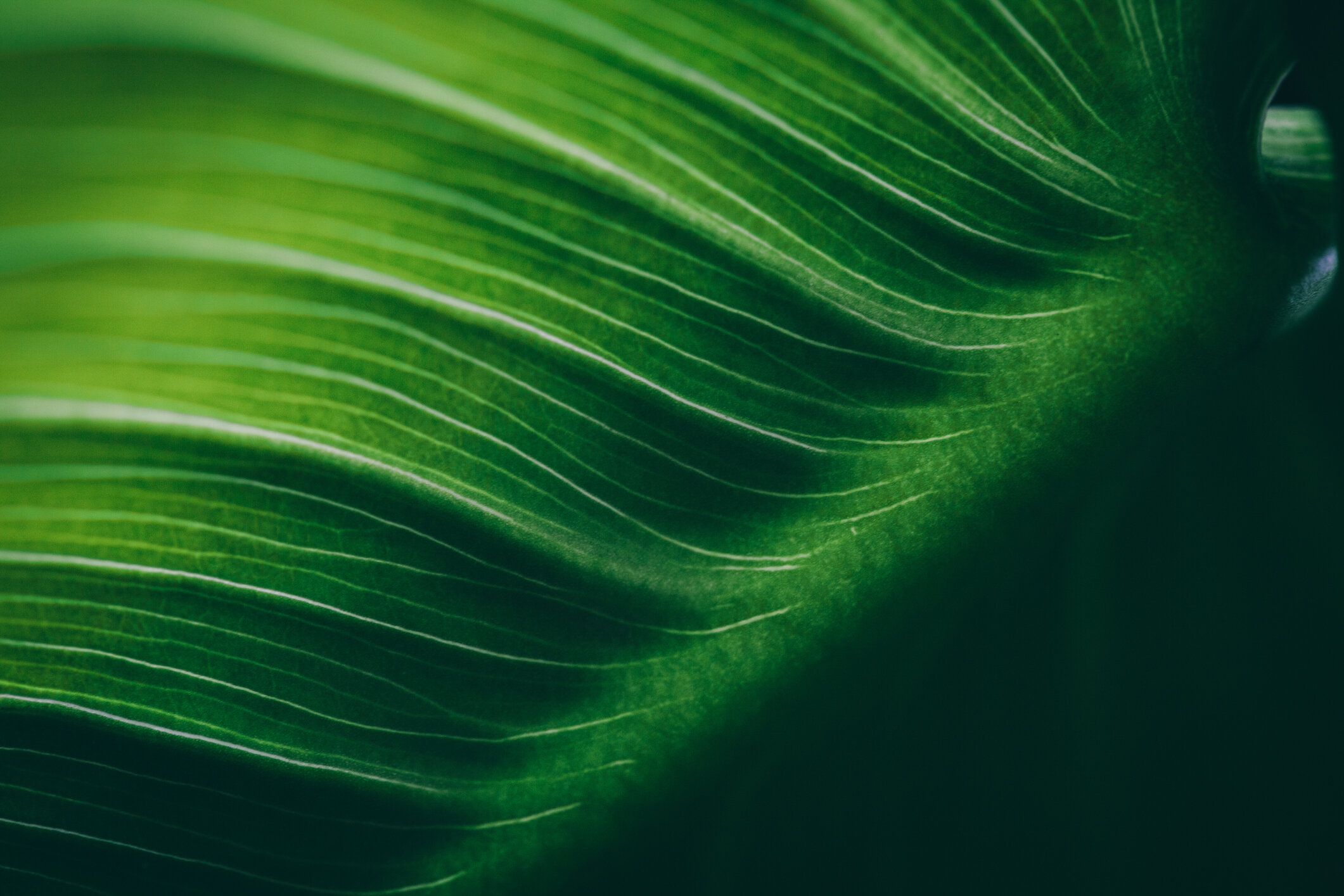 iStock-475172888.jpg