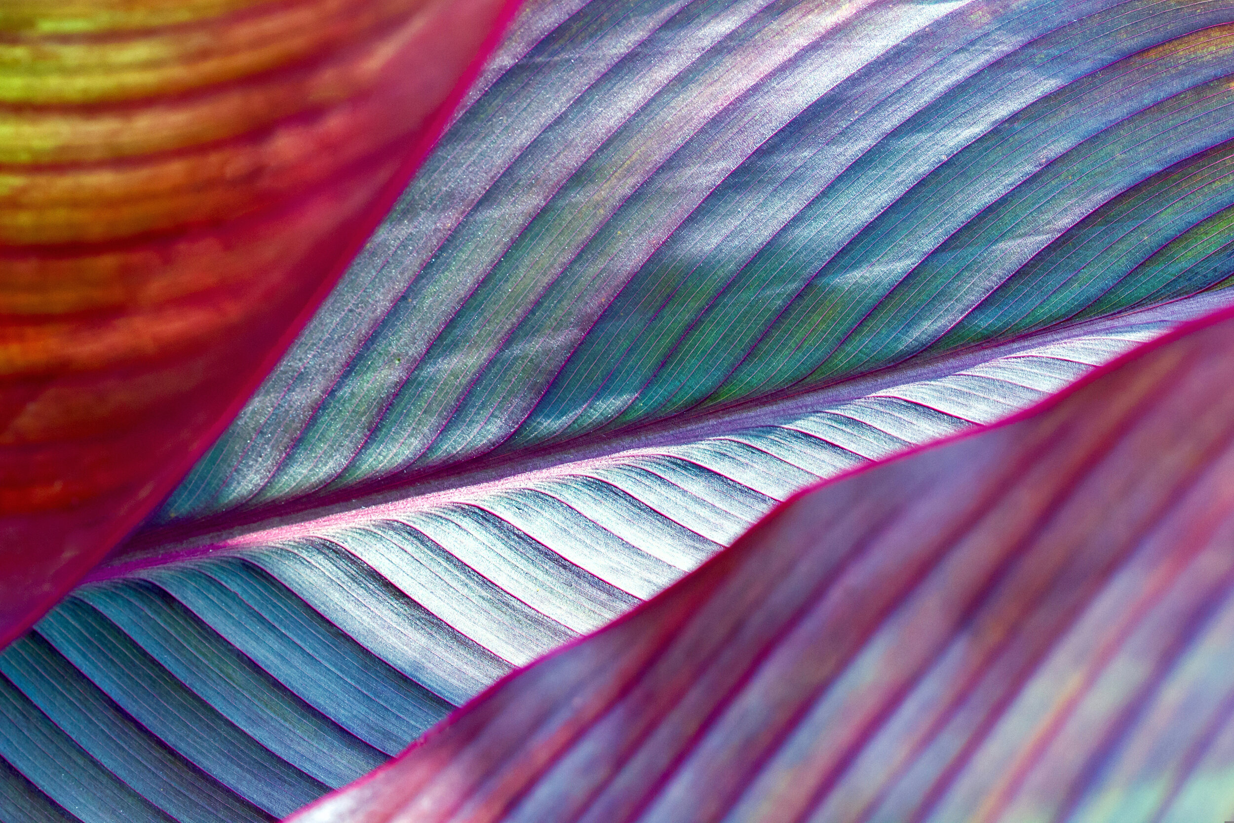 iStock-1133243140.jpg