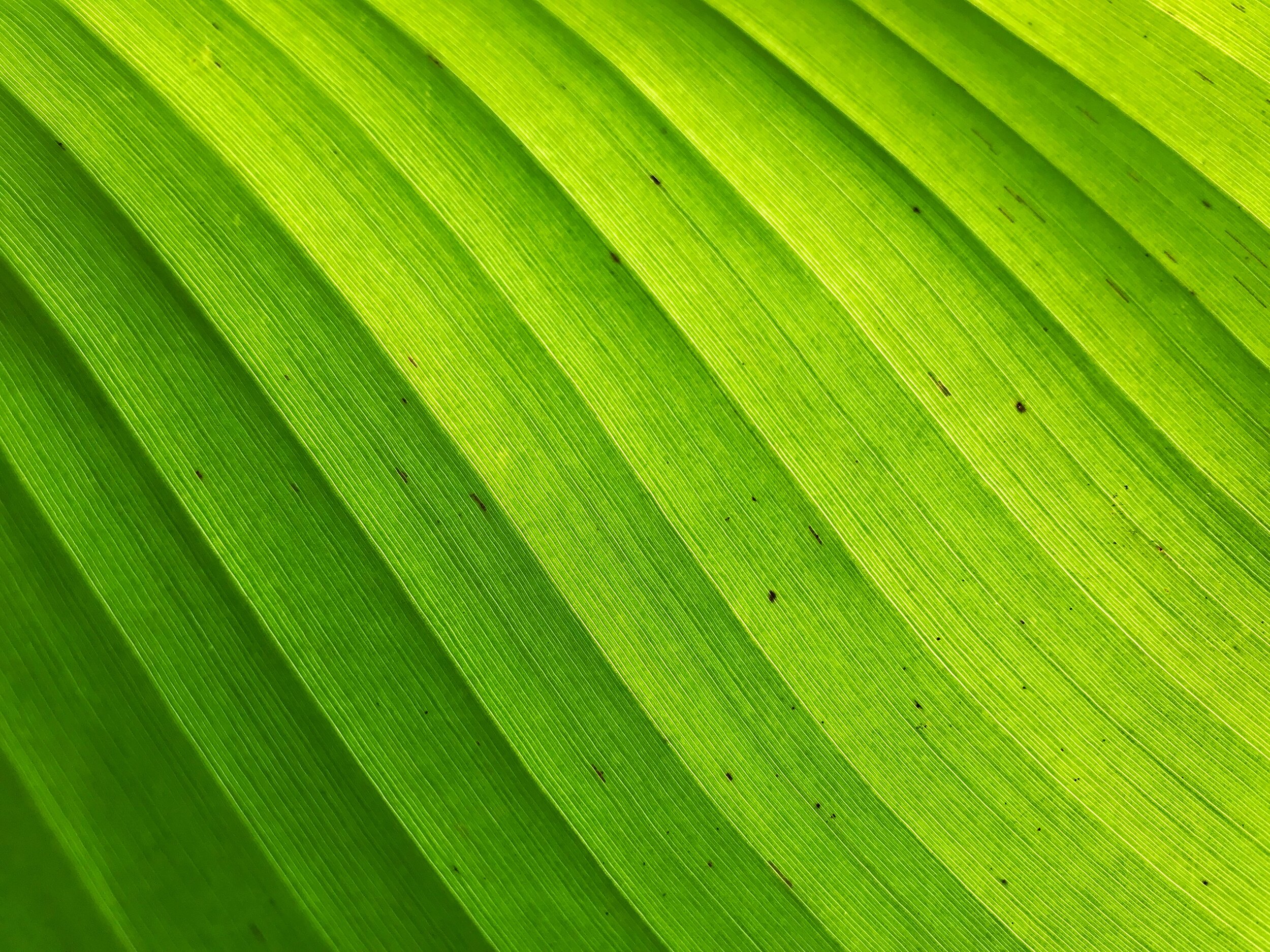 iStock-1178094032.jpg