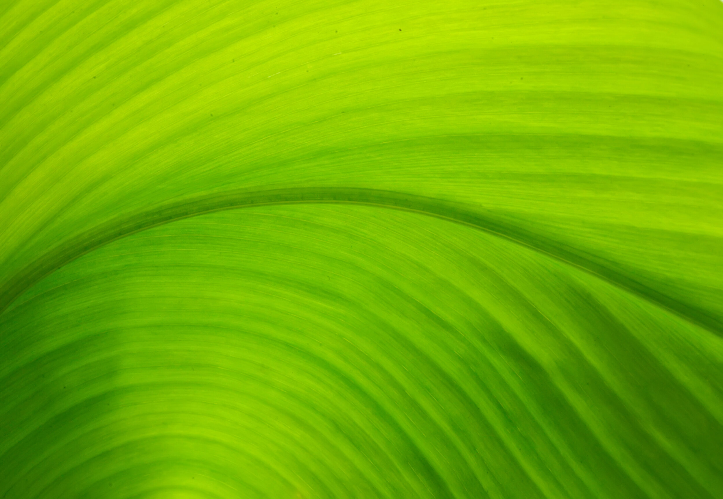 iStock-615706356.jpg