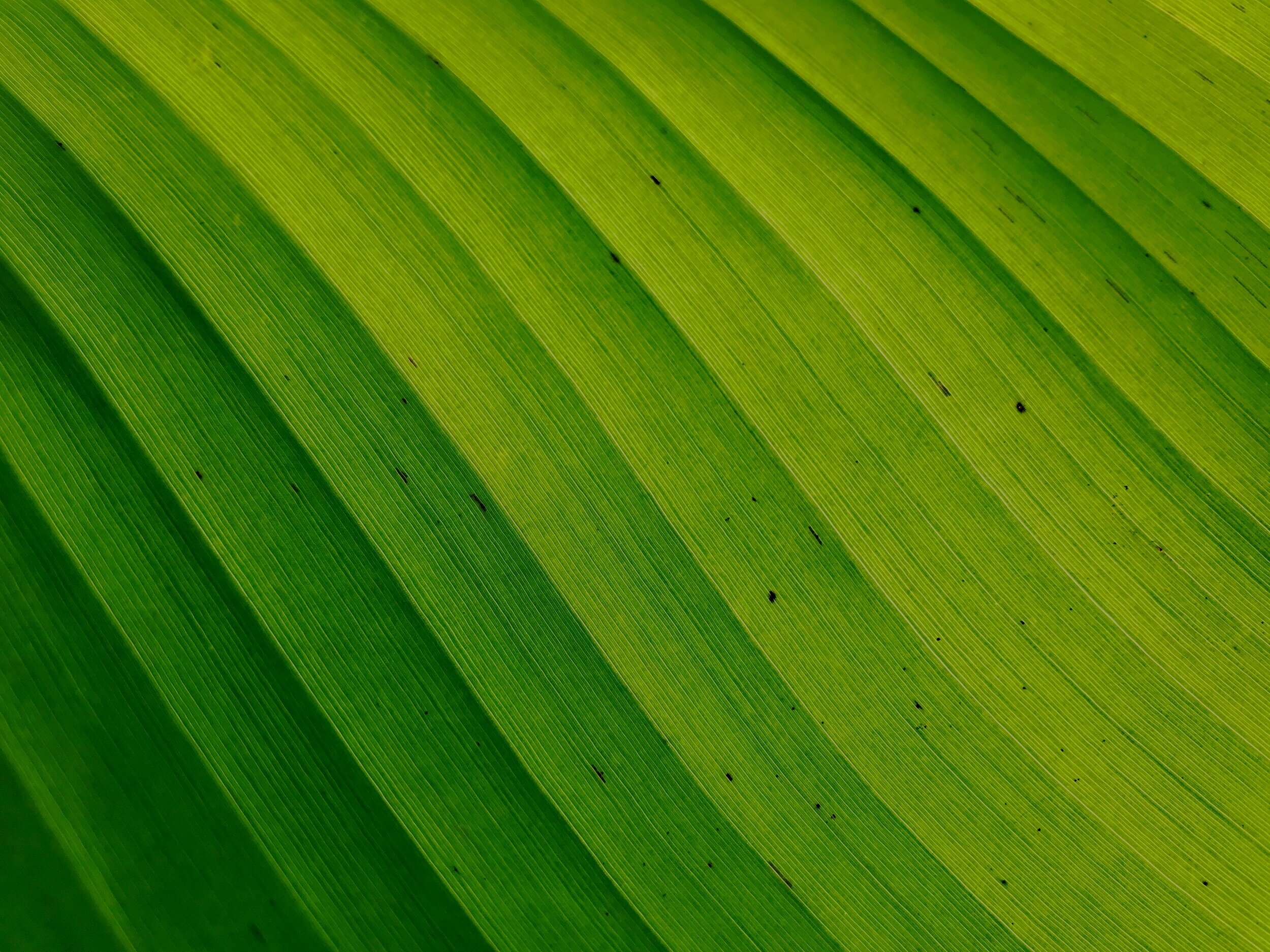 iStock-1178094032.jpg