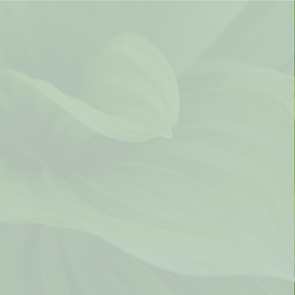 2 Framework audit green w image-01.png