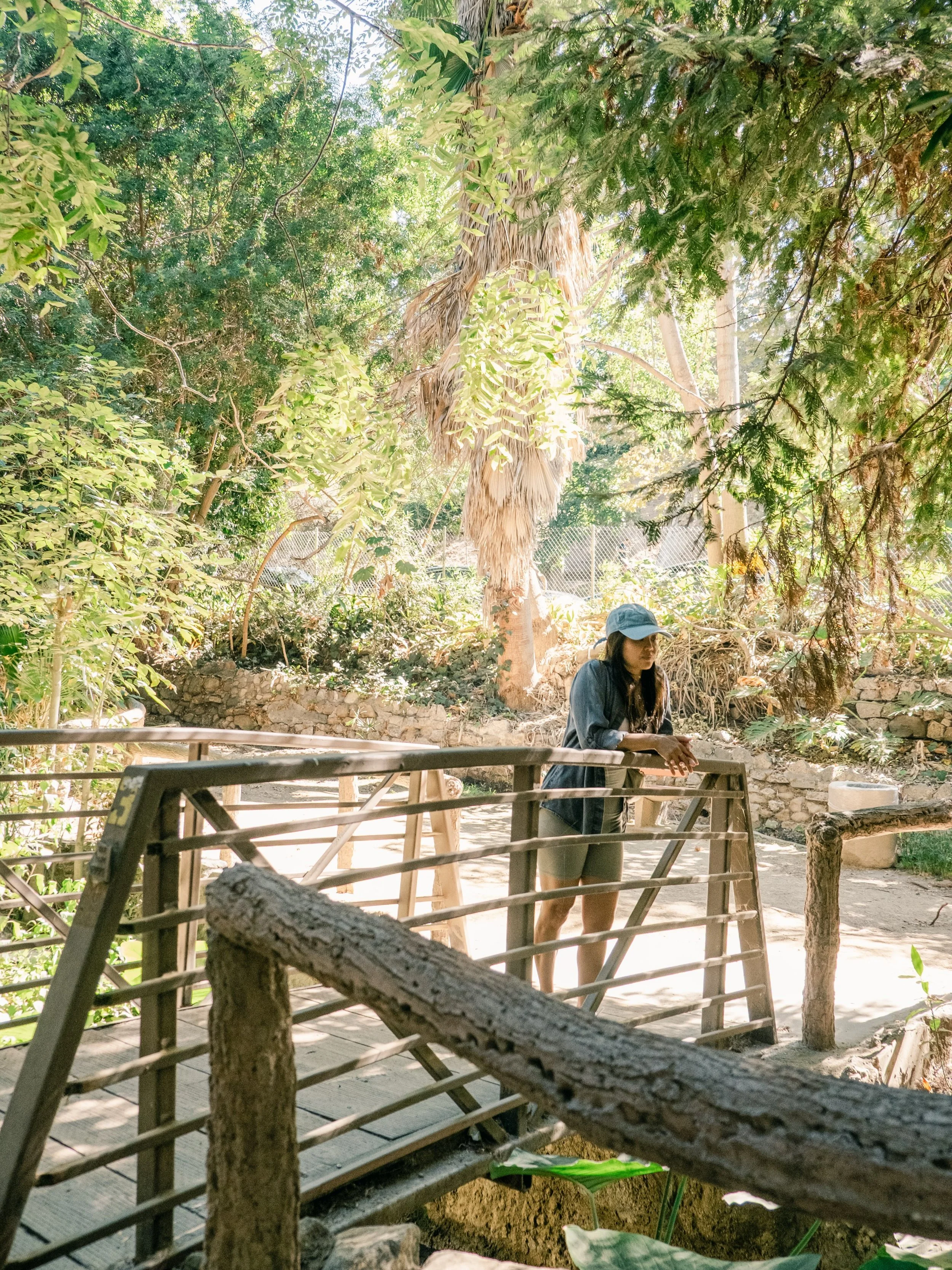 A little oasis in Griffith Park 🌳 . 

Ferndell nature trail is a peaceful nature walk we visited for the first time a few weeks ago. It&rsquo;s such an unexpected space in this part of town with a stream of water running through and tons of greenery